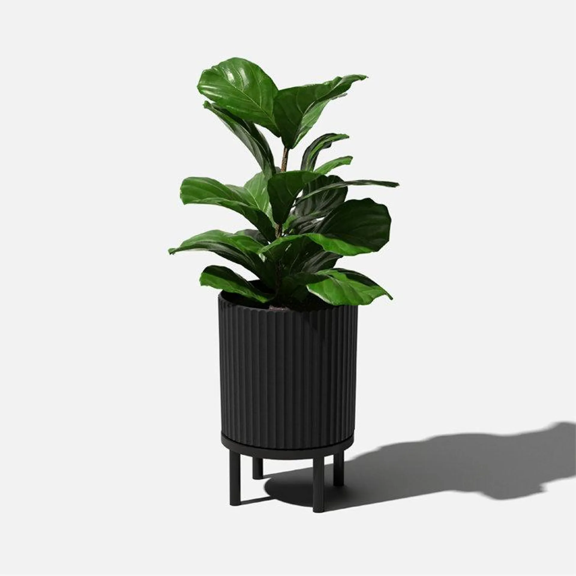 Demi Series Planter with Stand