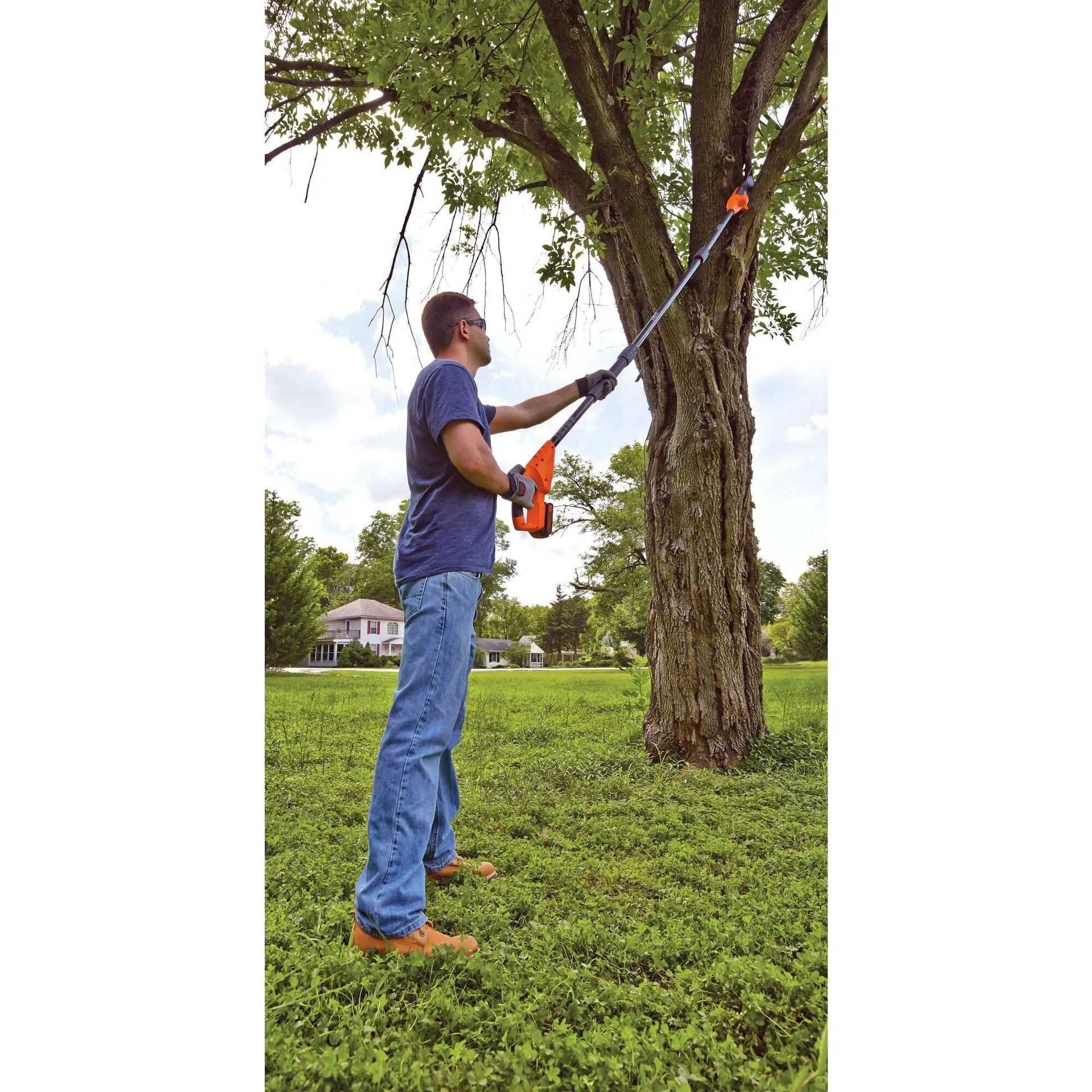 20V MAX* Cordless Pole Saw, 8-Inch, 1.5 Ah