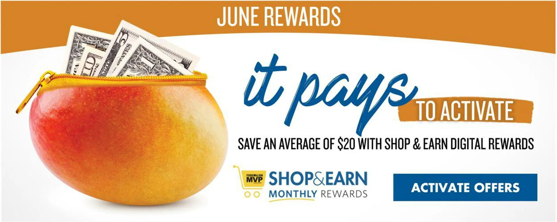 Food Lion Current weekly ad - 2