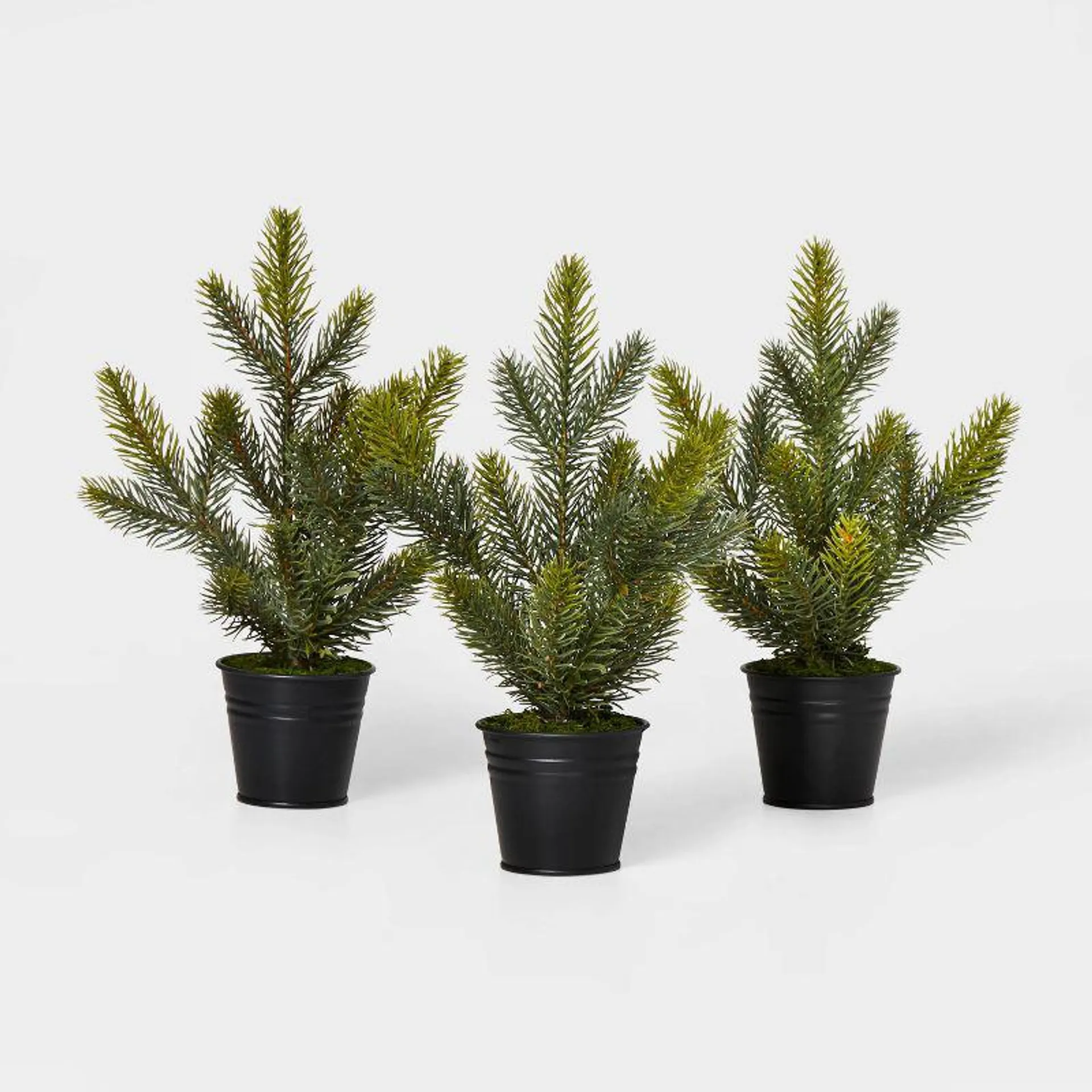 3pc Christmas Greenery in Black Bucket Green - Wondershop™