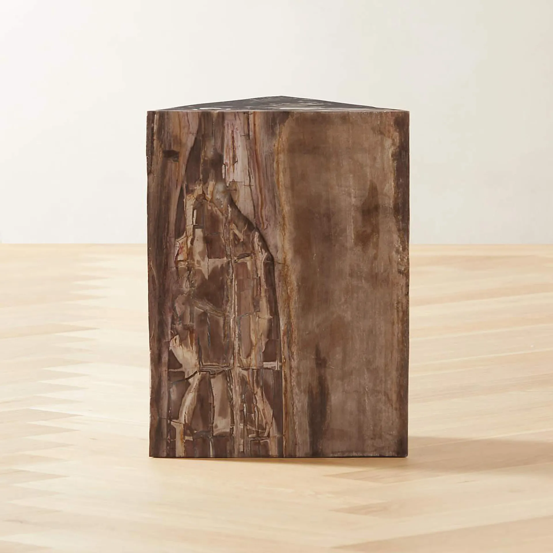 Tri Petrified Wood Side Table