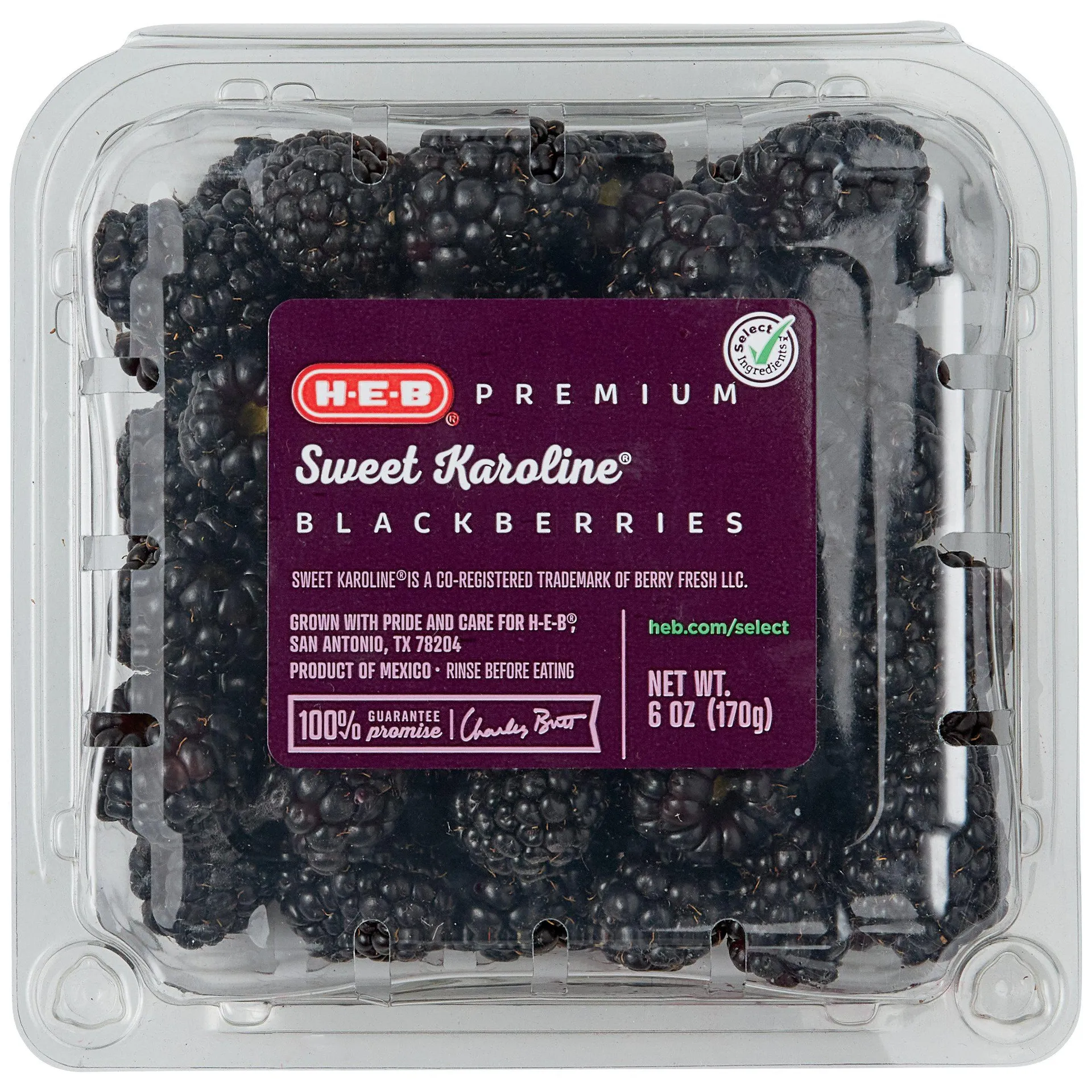 H‑E‑B Premium Fresh Sweet Karoline Blackberries