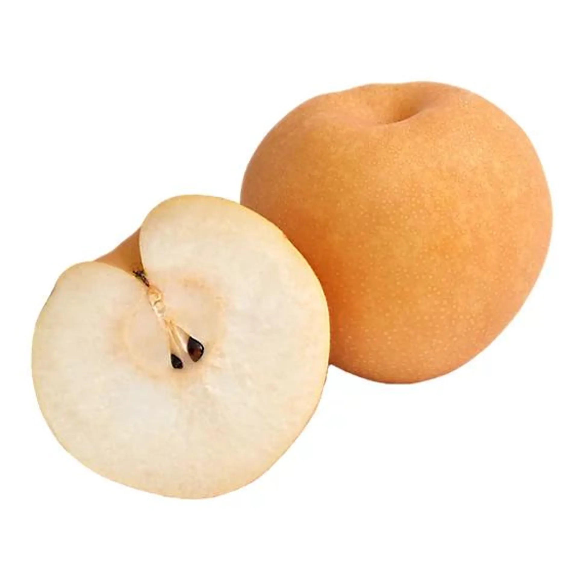 Asian Brown Pear