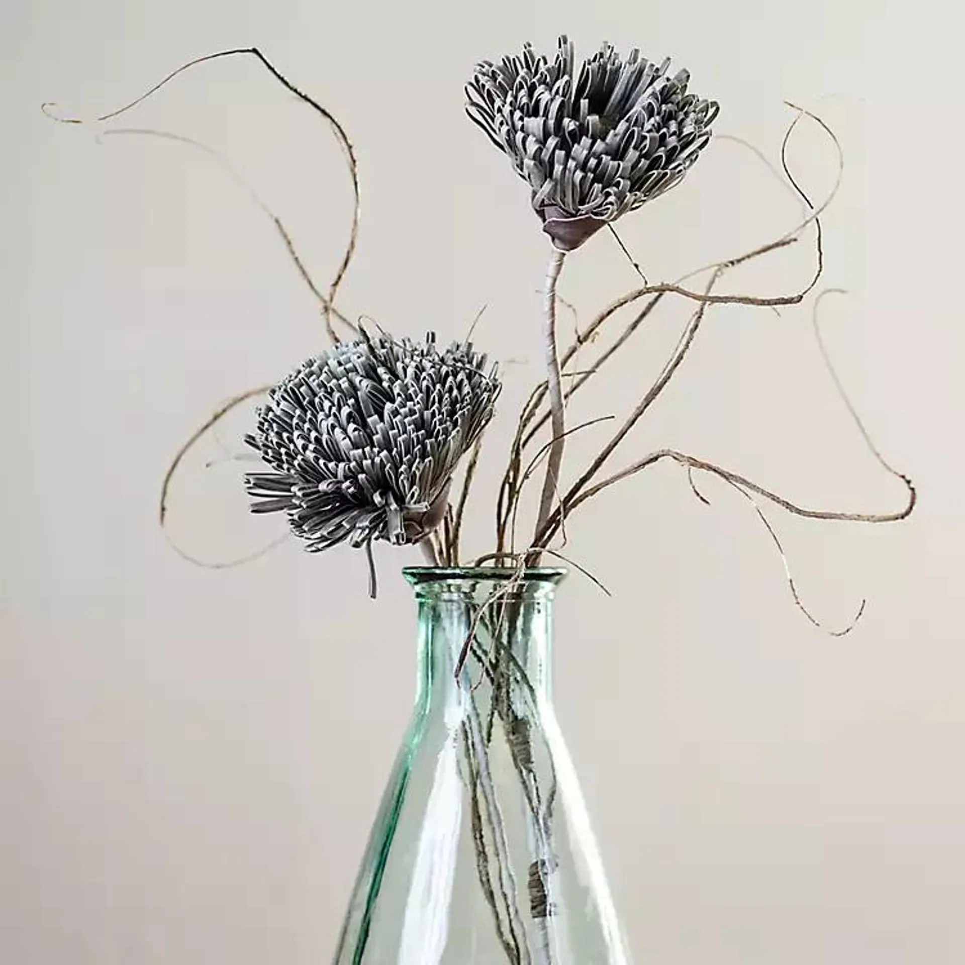 Gray Fuji Mum Stem