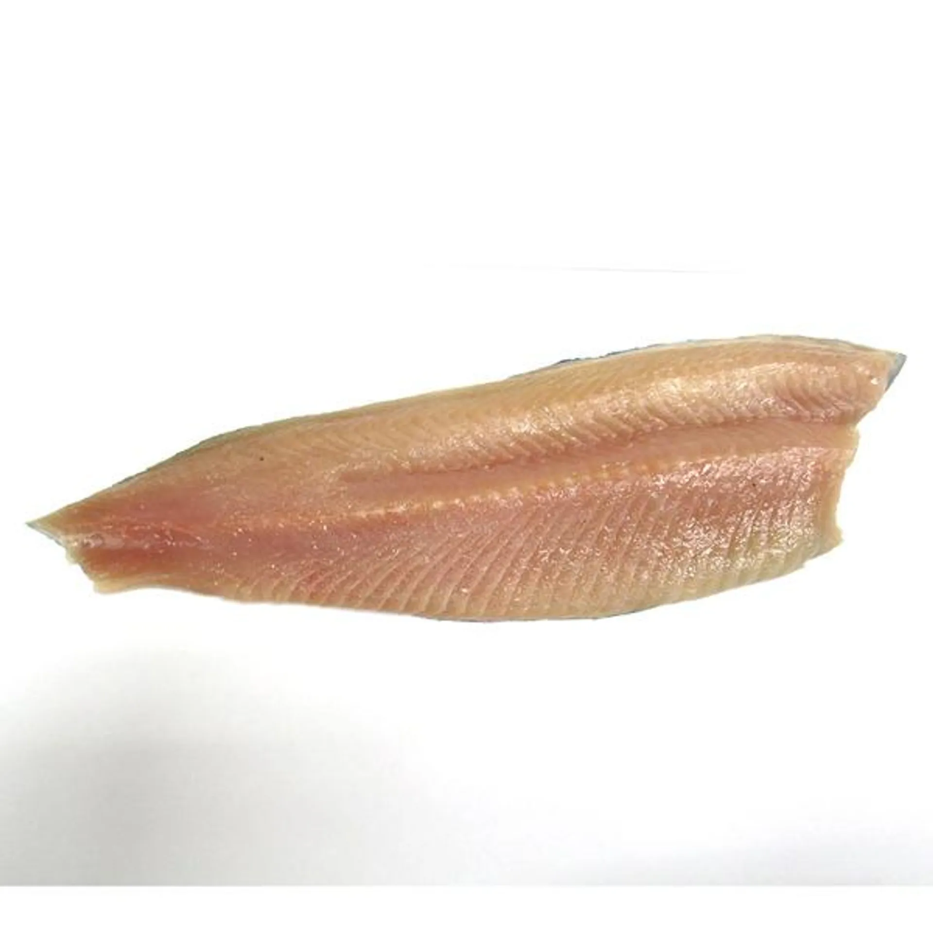 Clear Springs Trout Fillet