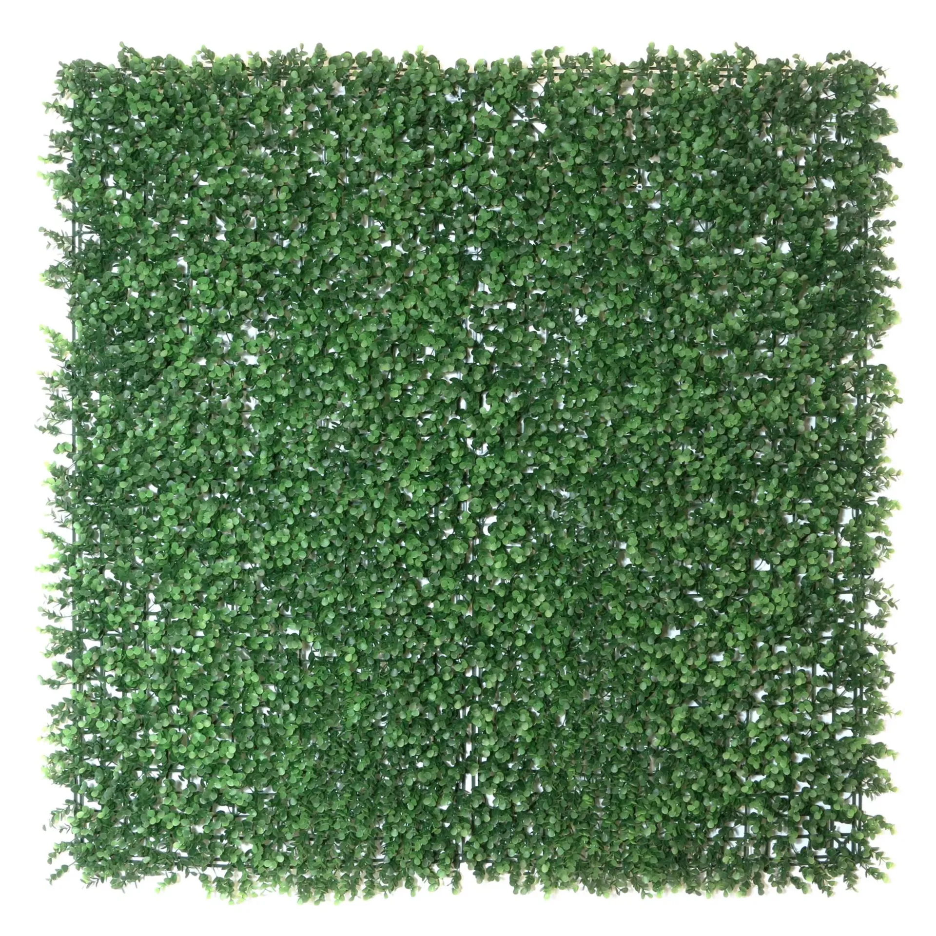 Creative Surfaces English Boxwood Artificial Hedge Wall Panel, 1 pk. (40" x 40")