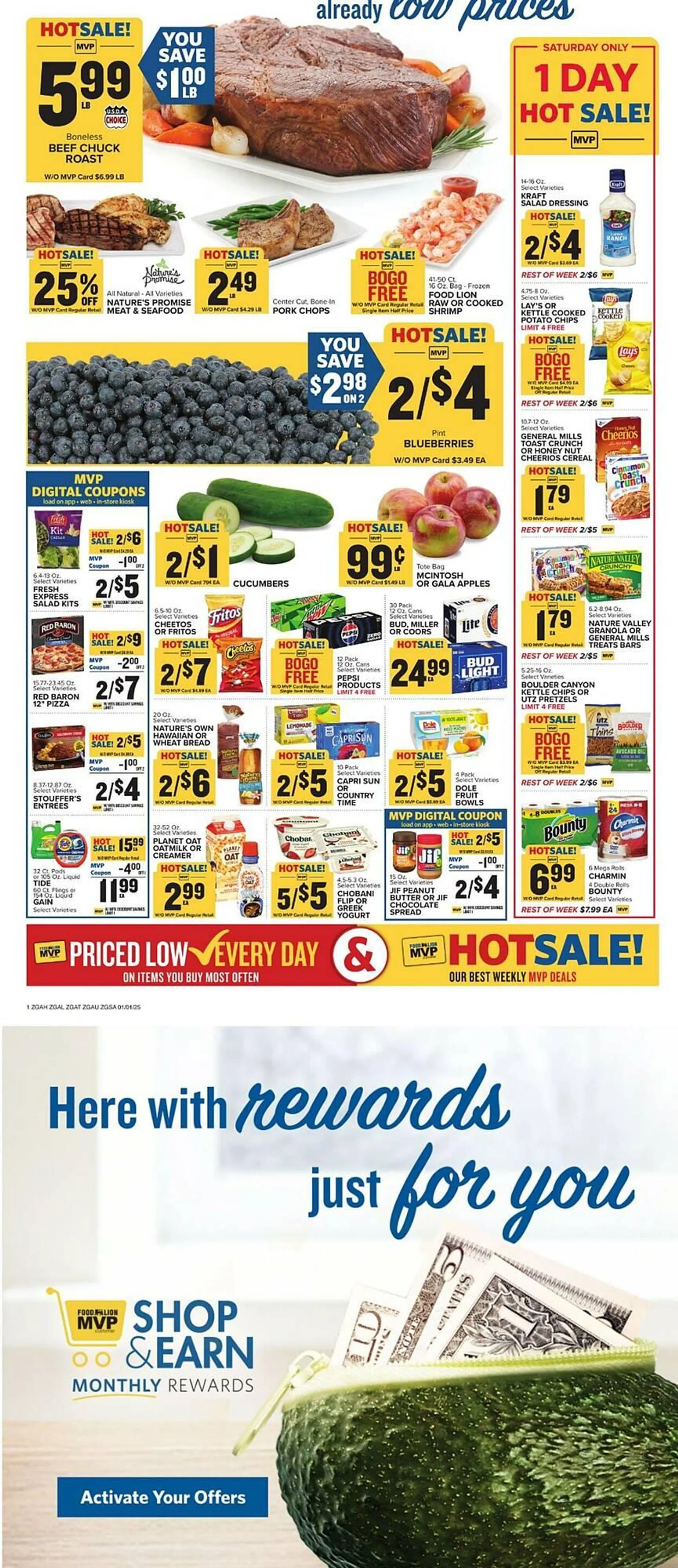 Food Lion Weekly Ad - 1