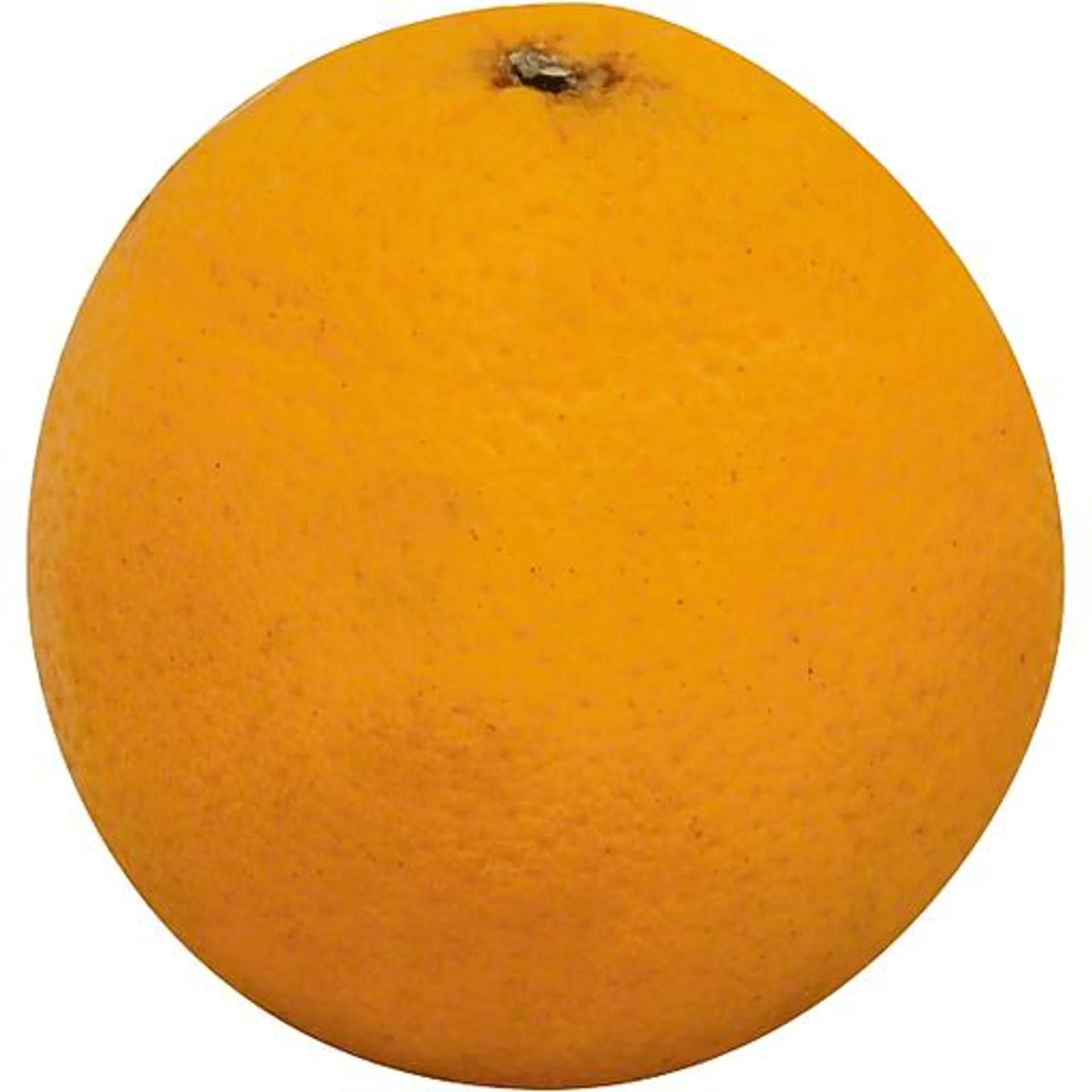 Midknight Oranges, Medium