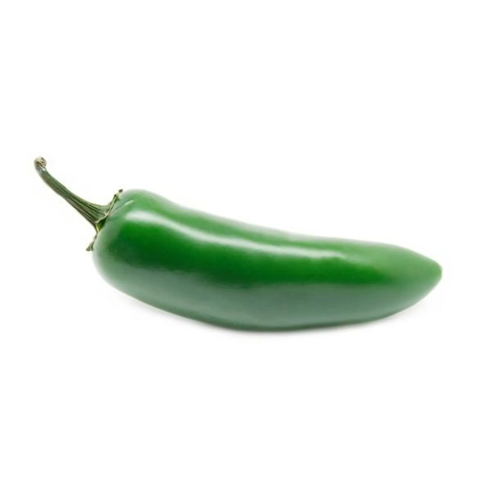 Jalapeno Pepper