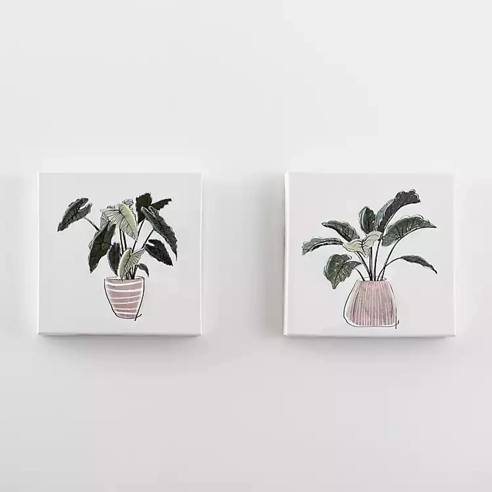 House Plants in Vase Canvas Art Prints, Set of 2