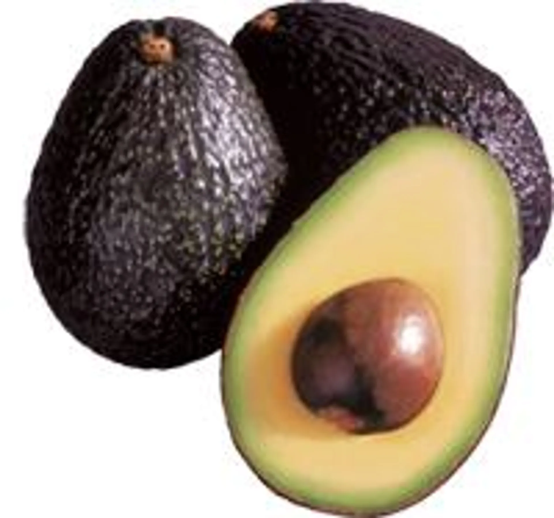 Hass Avocado