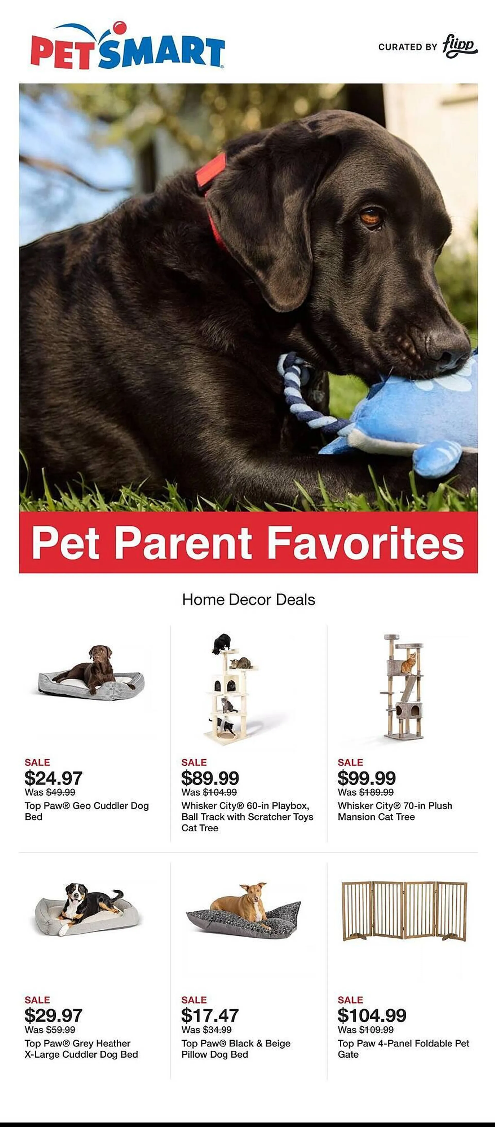 Weekly ad Petsmart Weekly Ad from August 6 to August 19 2025 - Page 1