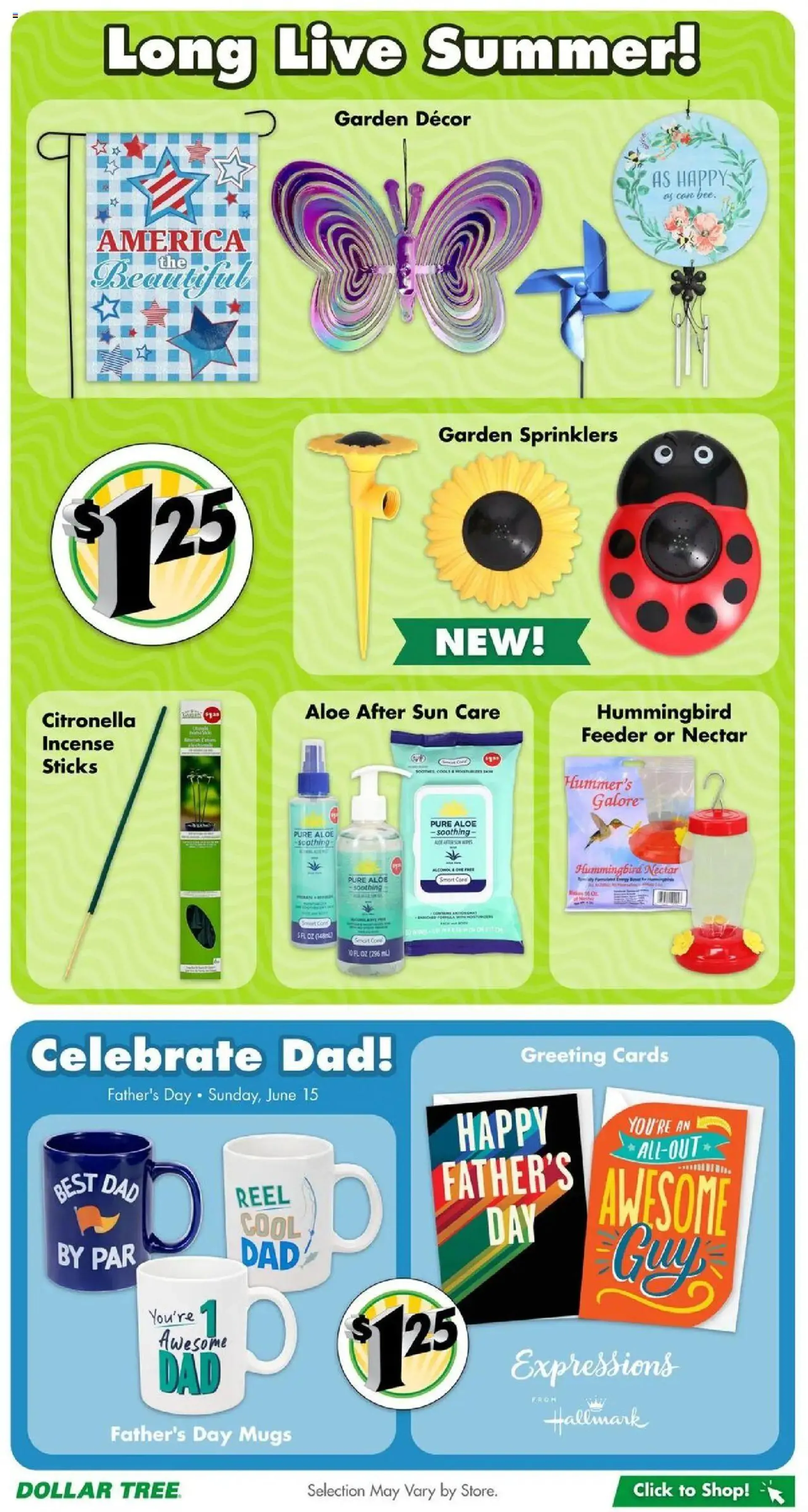 Weekly ad Dollar Tree Weekly Ad from May 12 to May 26 2025 - Page 11