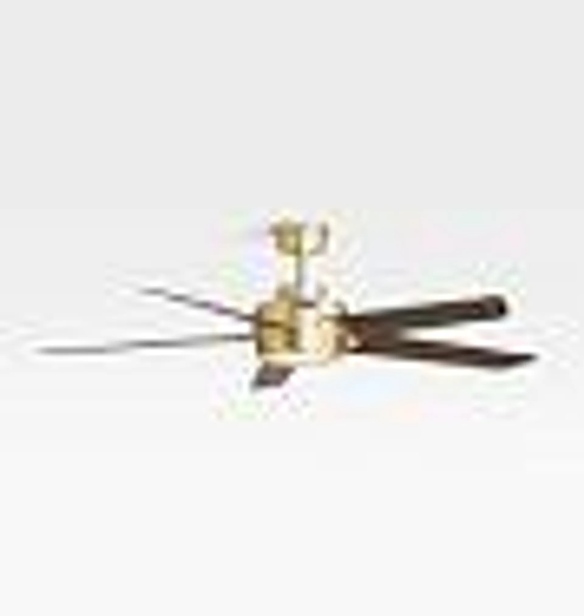 Brambling Ceiling Fan