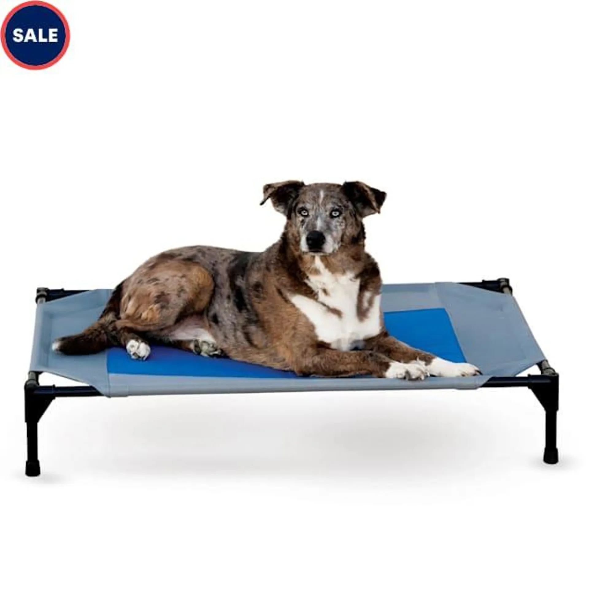 K&H Cooling Pet Cot, 42" L x 30" W