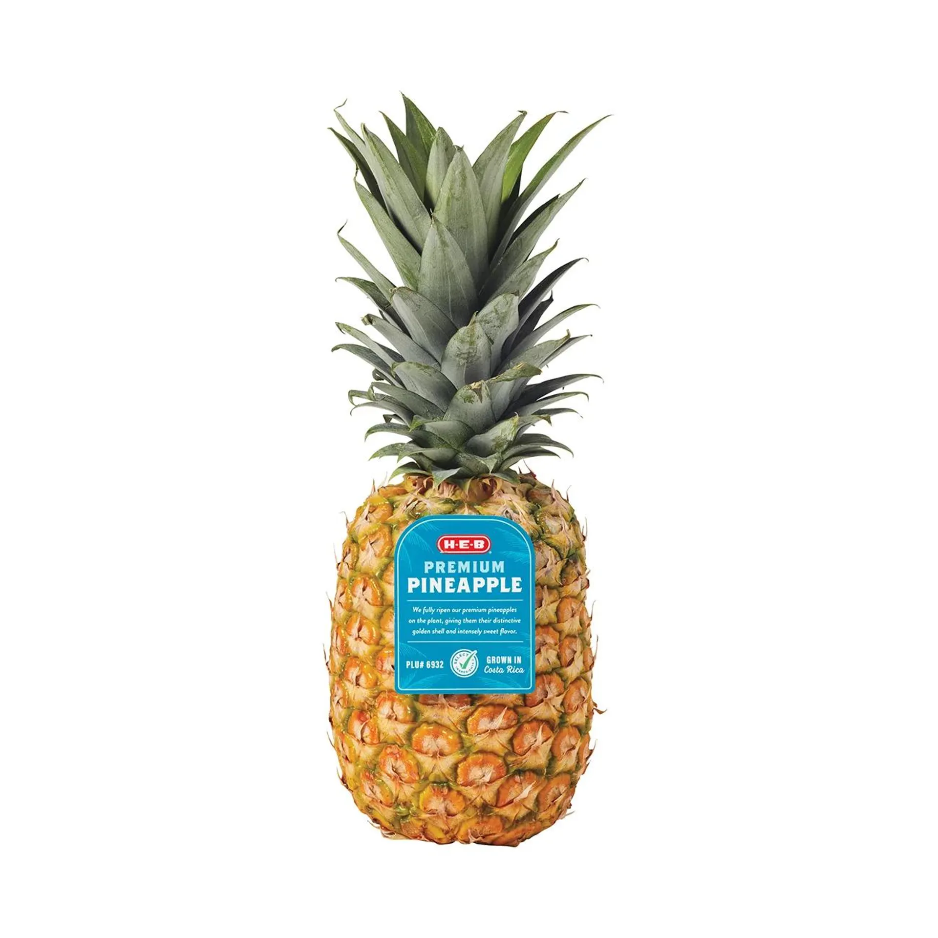 H‑E‑B Fresh Premium Pineapple