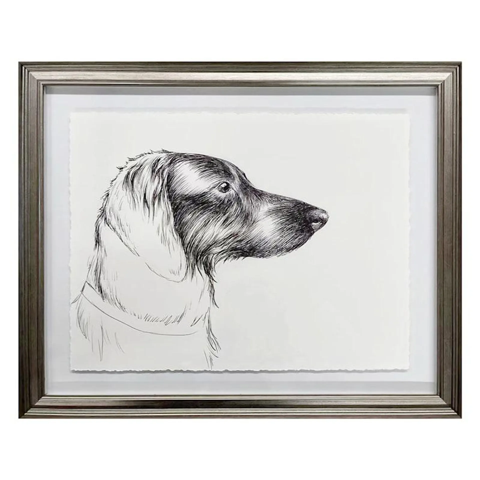 Glass Framed Dog Sketch Print Wall Art, 22x18