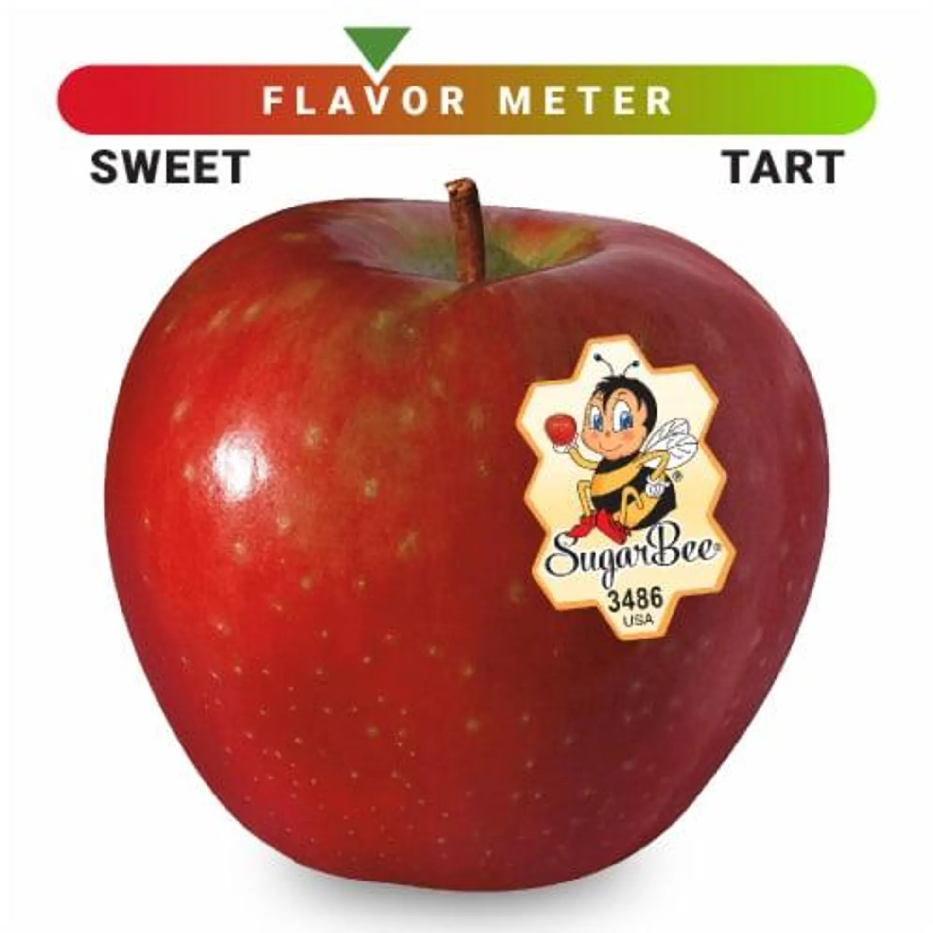 Large SugarBee® Apple - Each