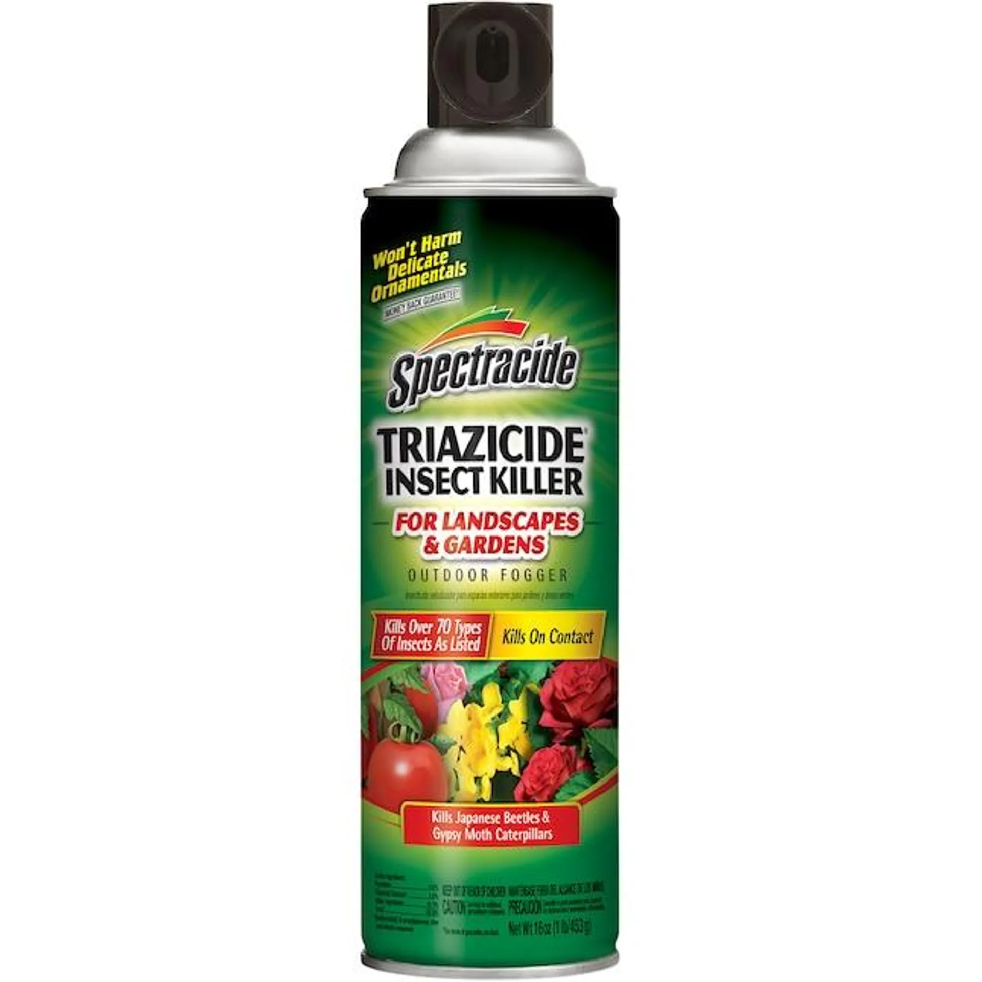 Spectracide Triazicide For Landscapes and Gardens 16.0 -oz Aerosol Garden insect killer