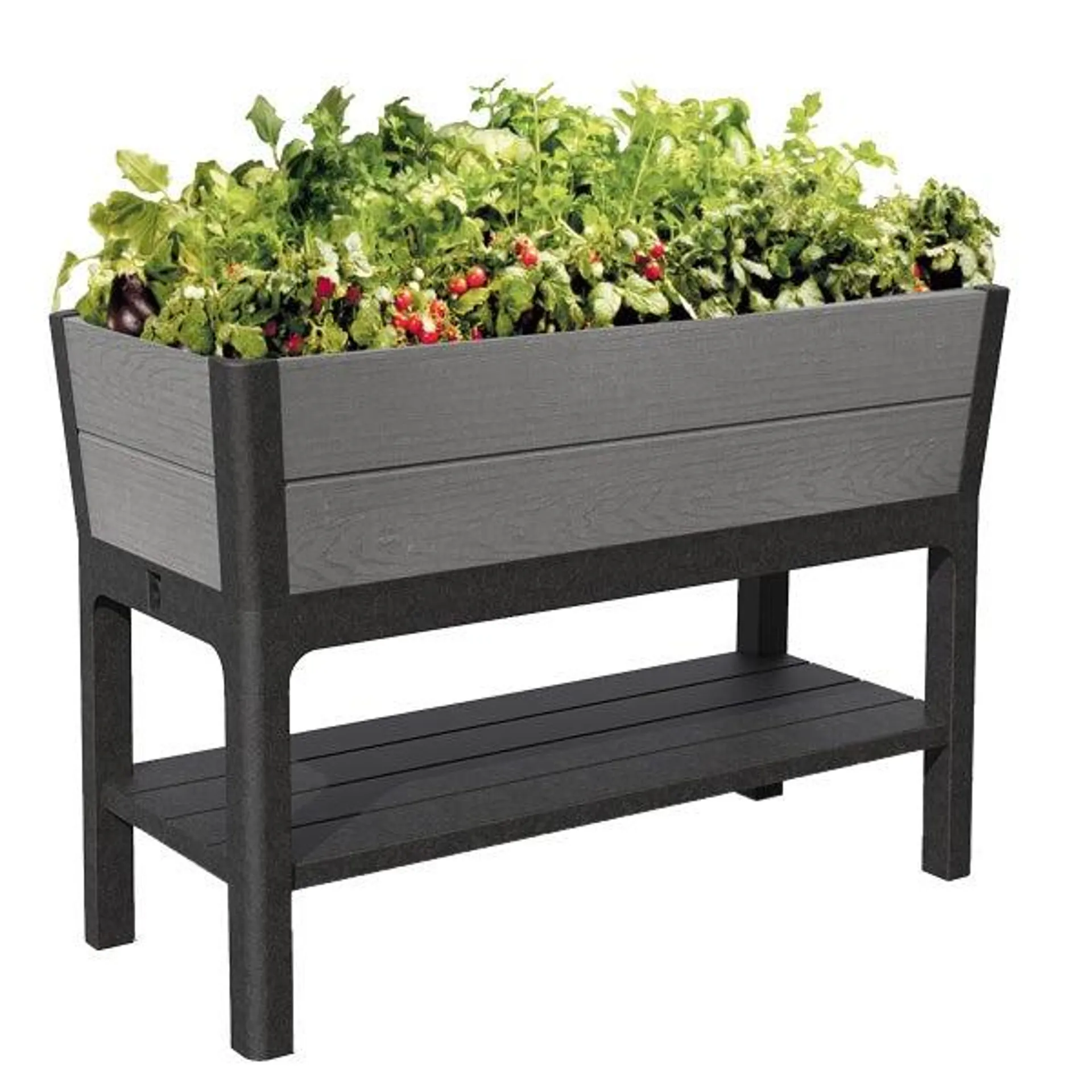 Keter Darwin 29 Gallon Raised Garden Bed and Self Watering Planter Box