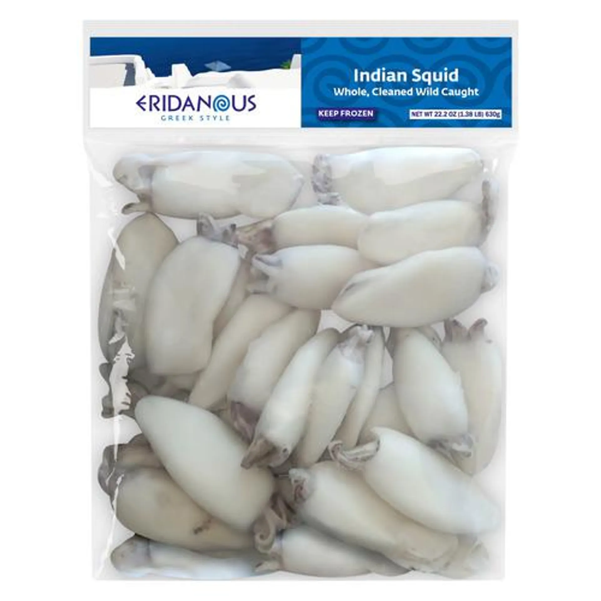Eridanous frozen Indian squid