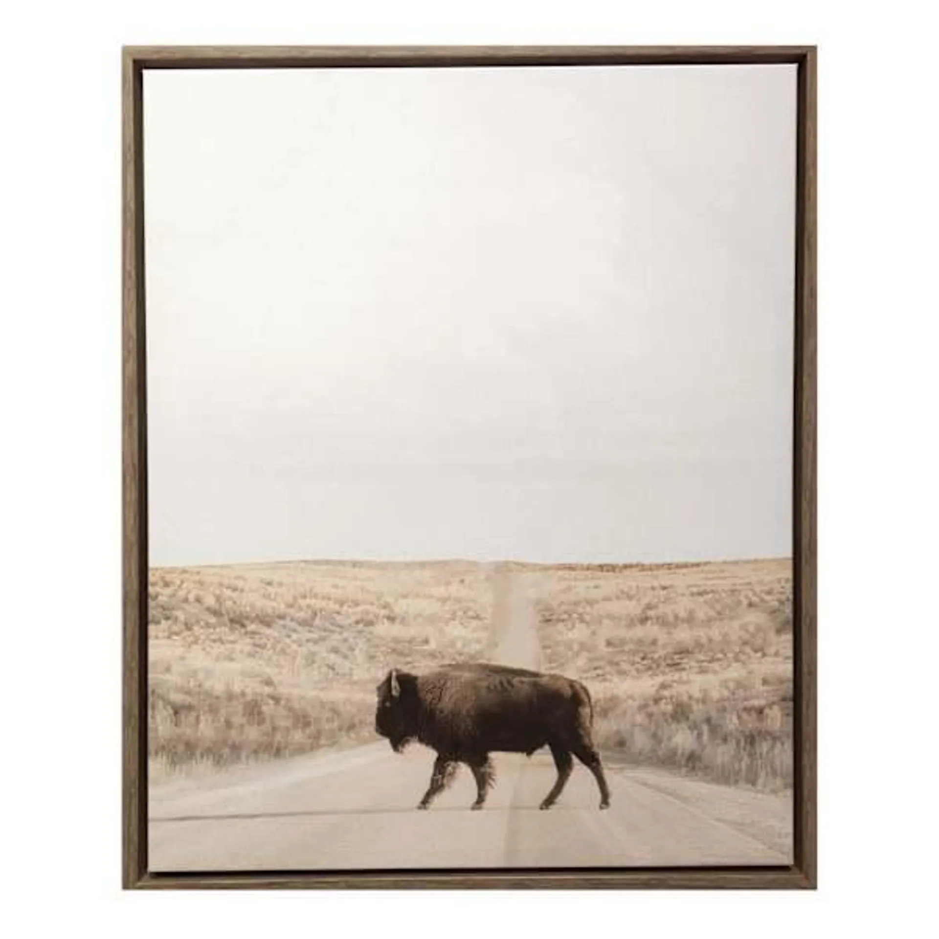 Framed Buffalo Canvas Wall Art, 22x27