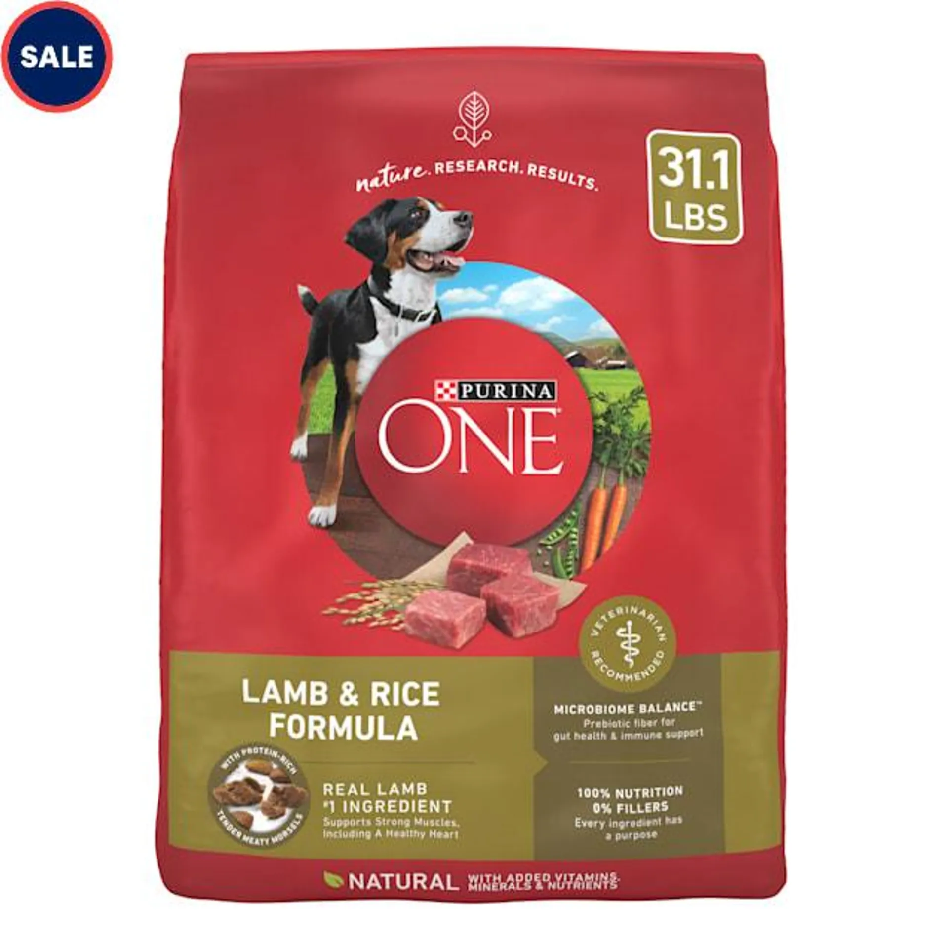 Purina ONE Lamb and Rice Formula Dry Dog Food, 31.1 lbs.