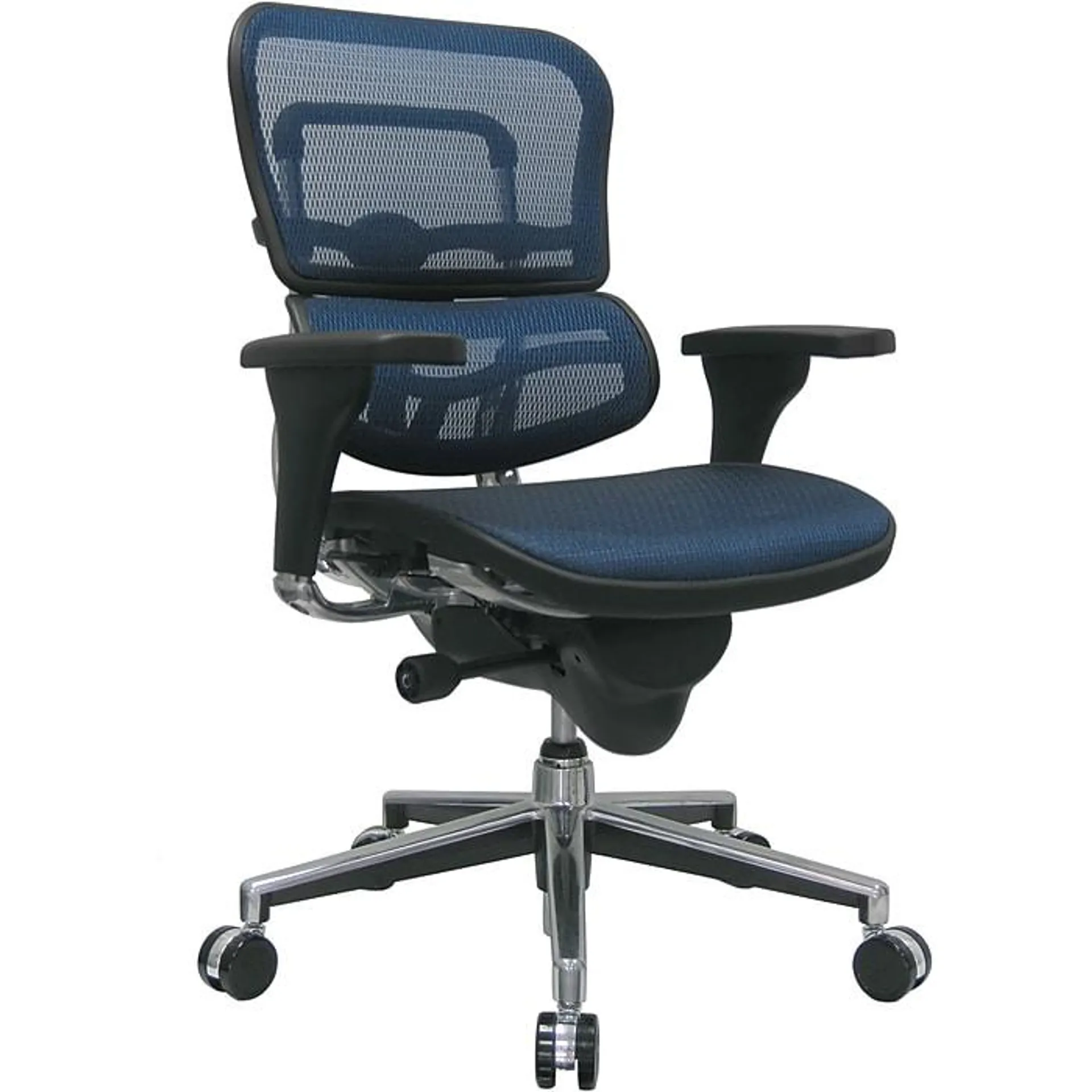 Raynor Eurotech Ergo human Mesh Mid Back Task Chair,