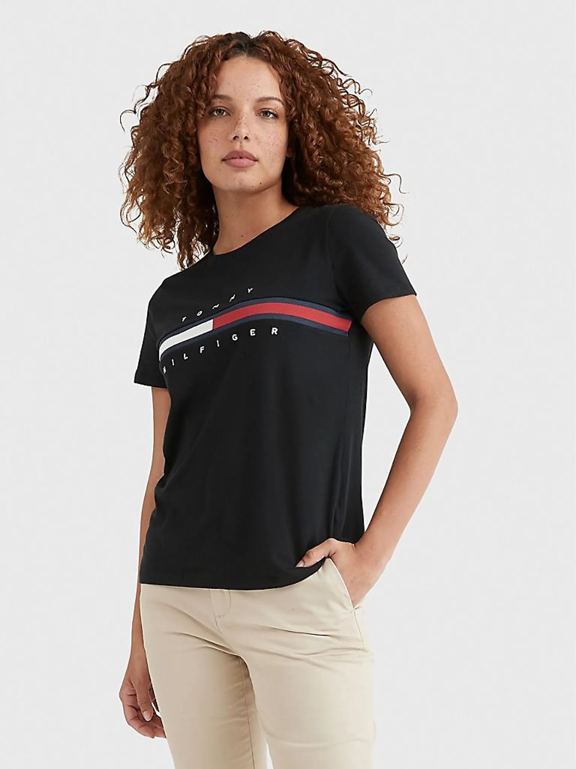 Flag Stripe Logo T-Shirt