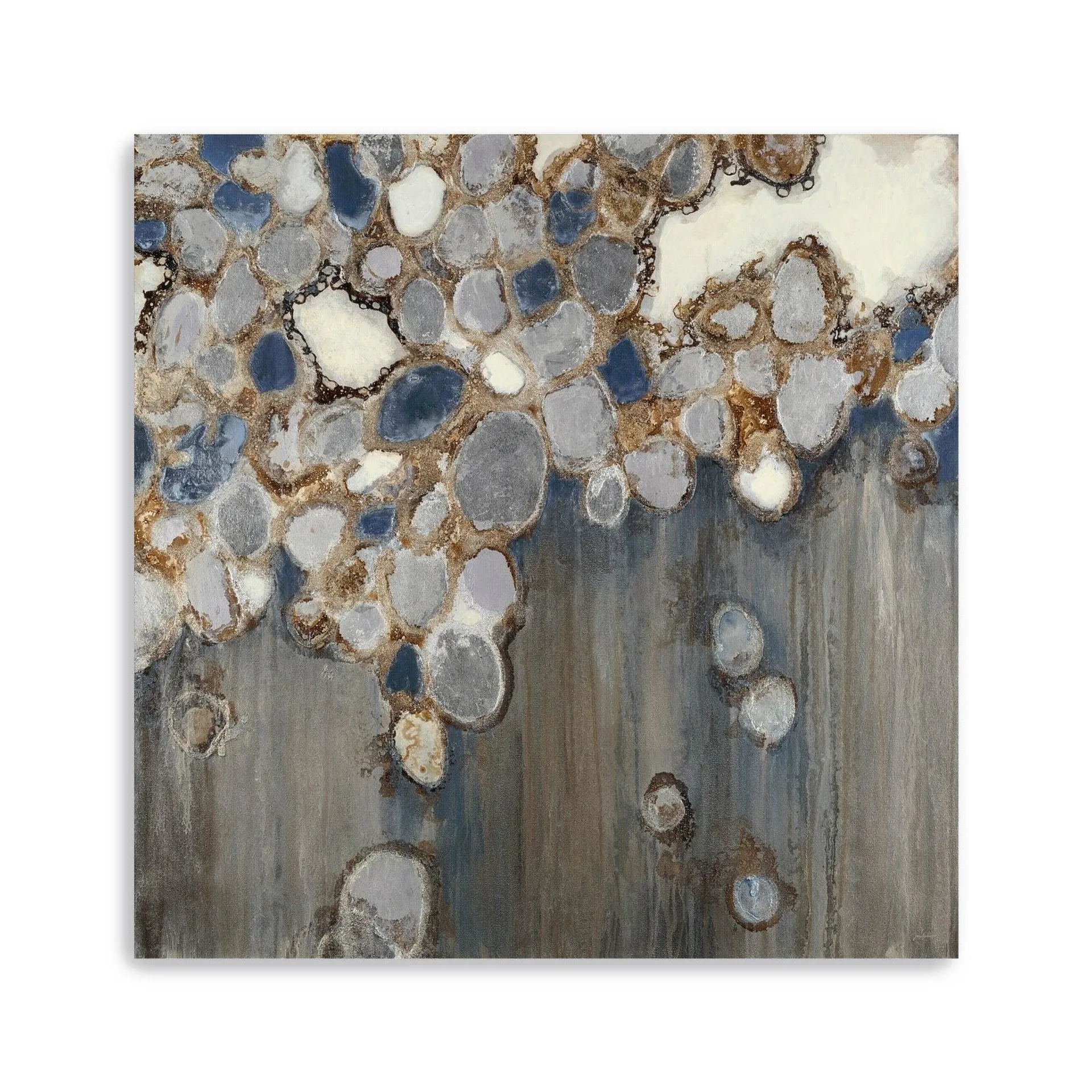 Indigo Oyster Shells Canvas Giclee Wall Art