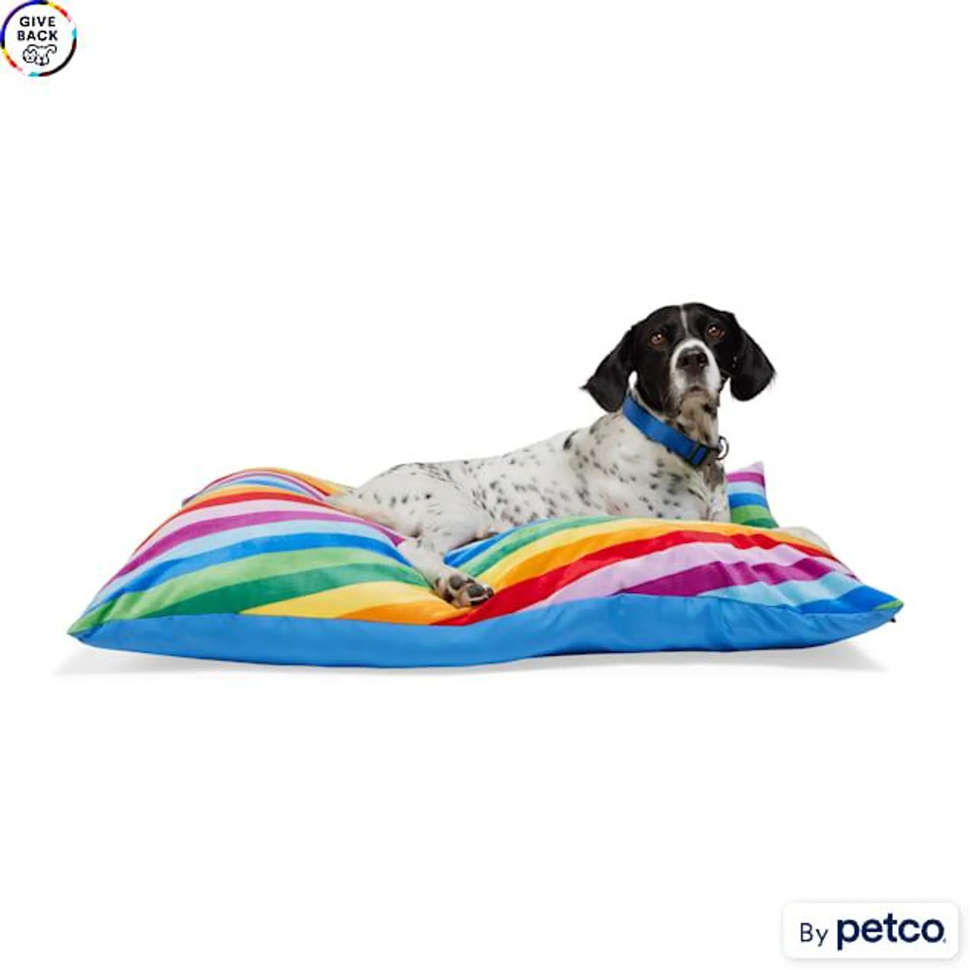 EveryYay Essentials Pillow Dog Bed, 38" L X 30" W X 6" H, Large, Rainbow