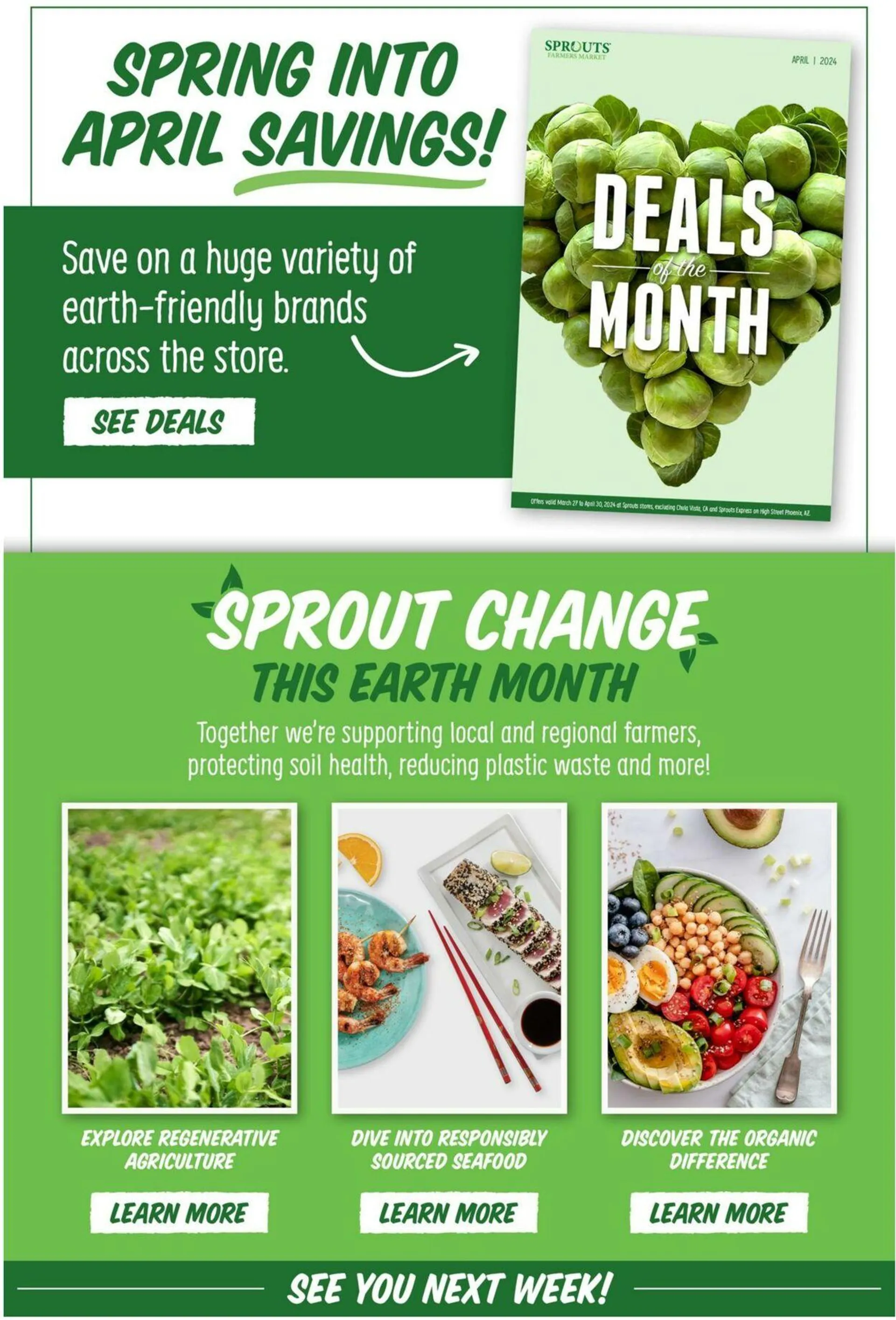 Sprouts Current weekly ad - 13