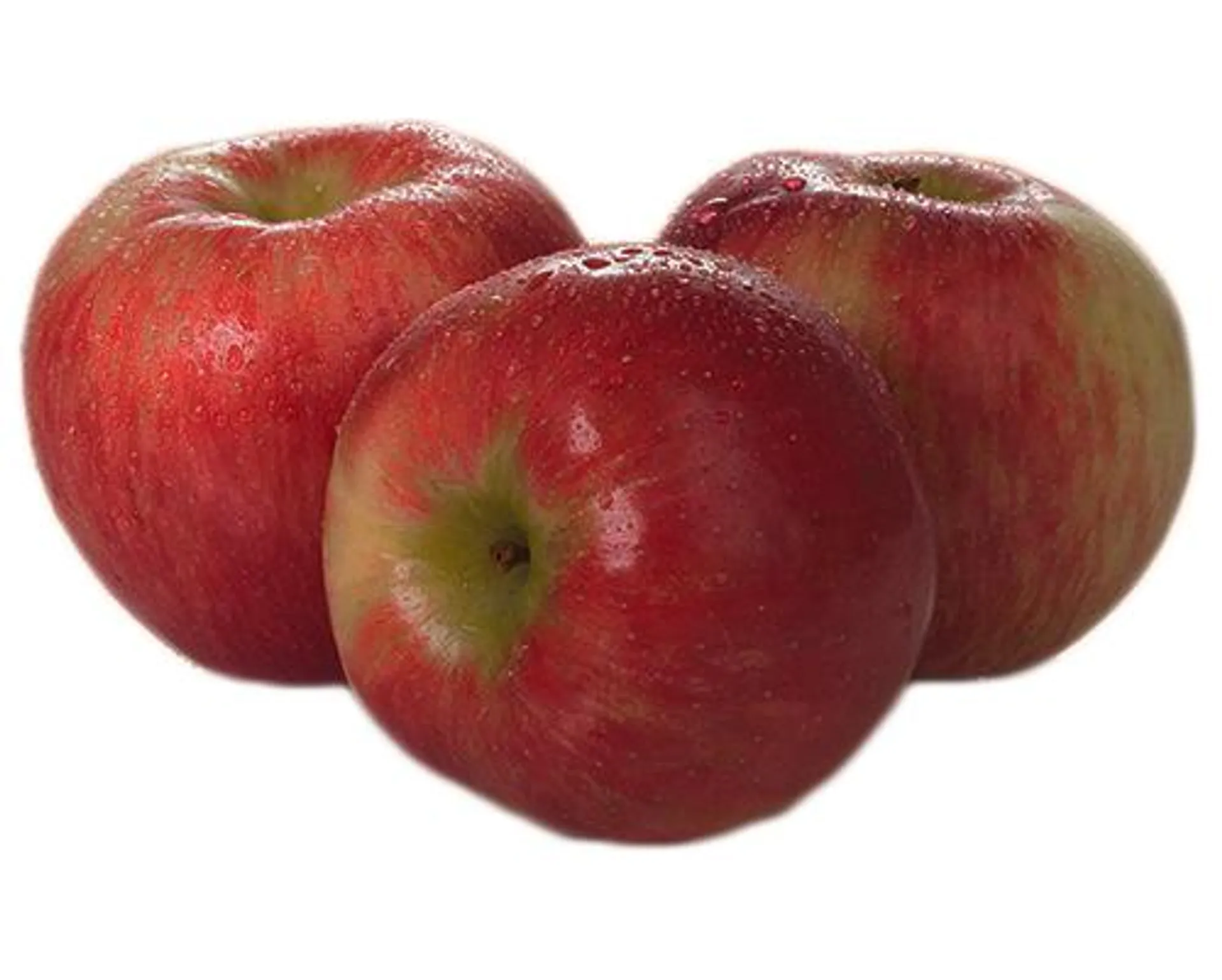 HONEYCRISP APPLE