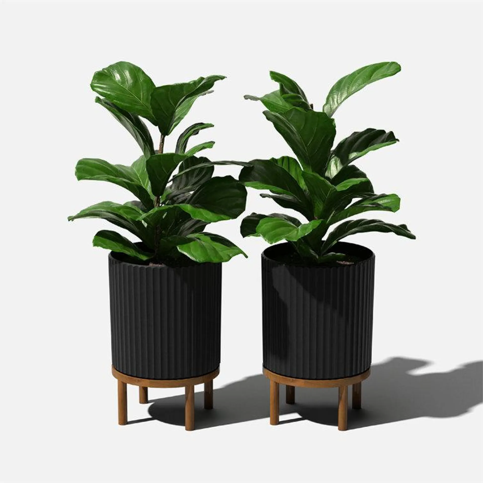 Demi Series Planter with Stand