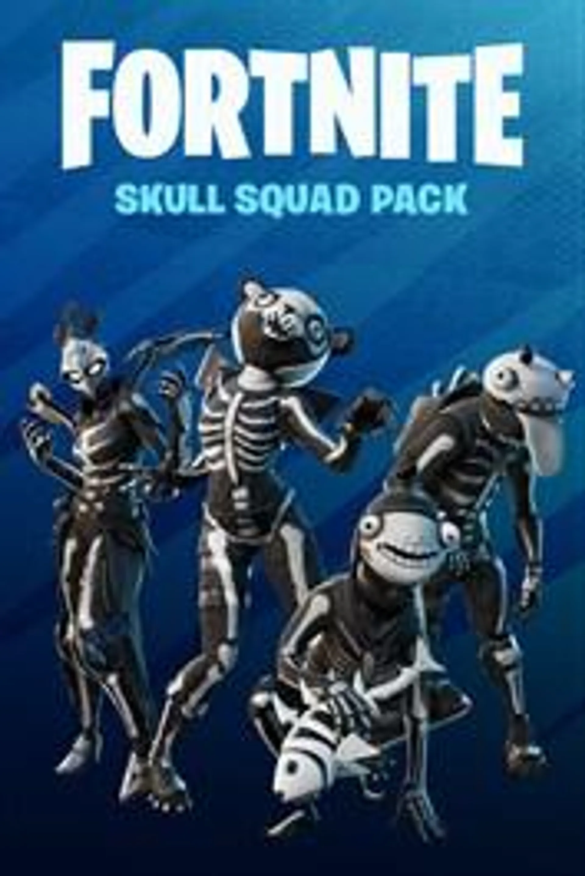 Fortnite - Skull Squad Pack