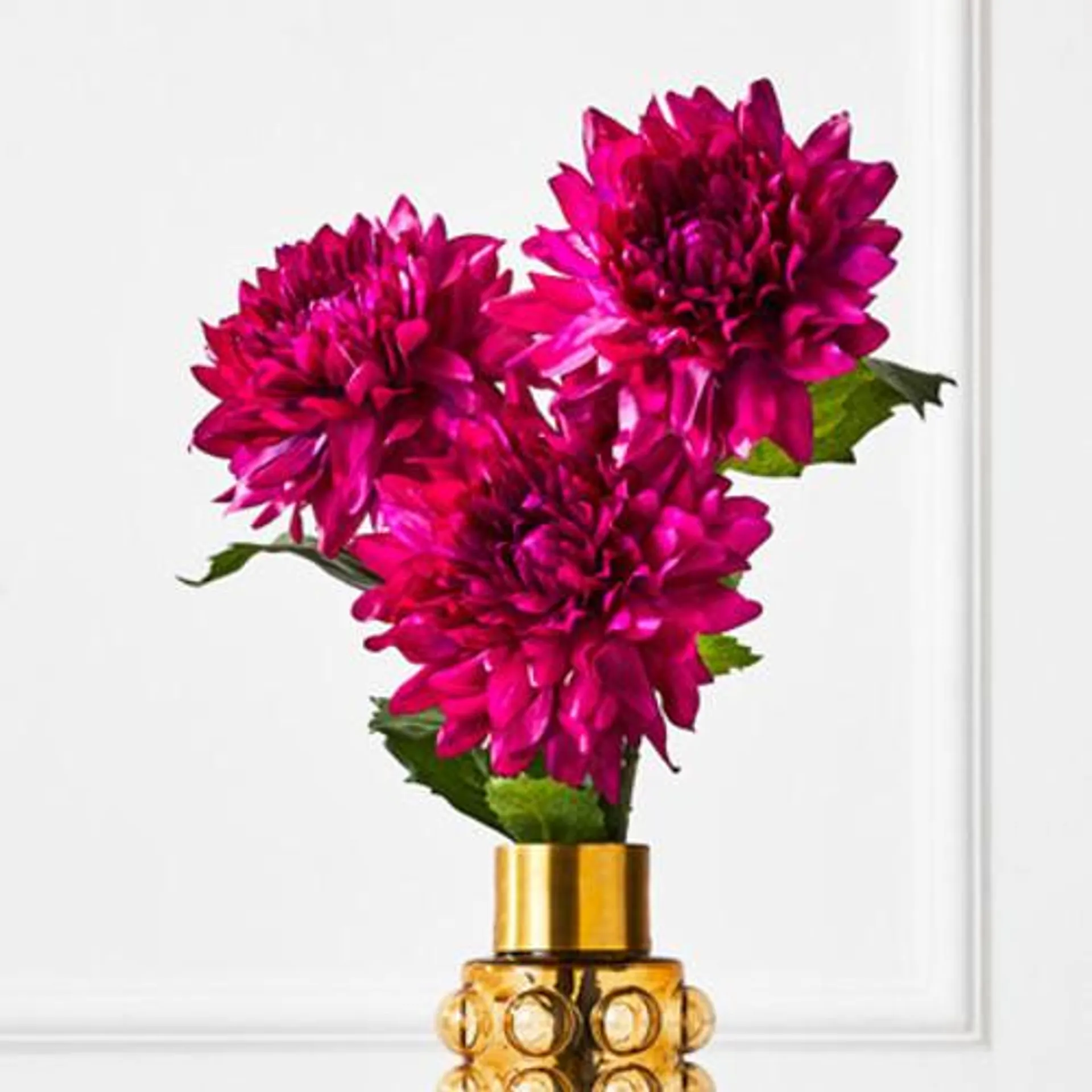 Fuchsia Open Dahlia - Set of 3