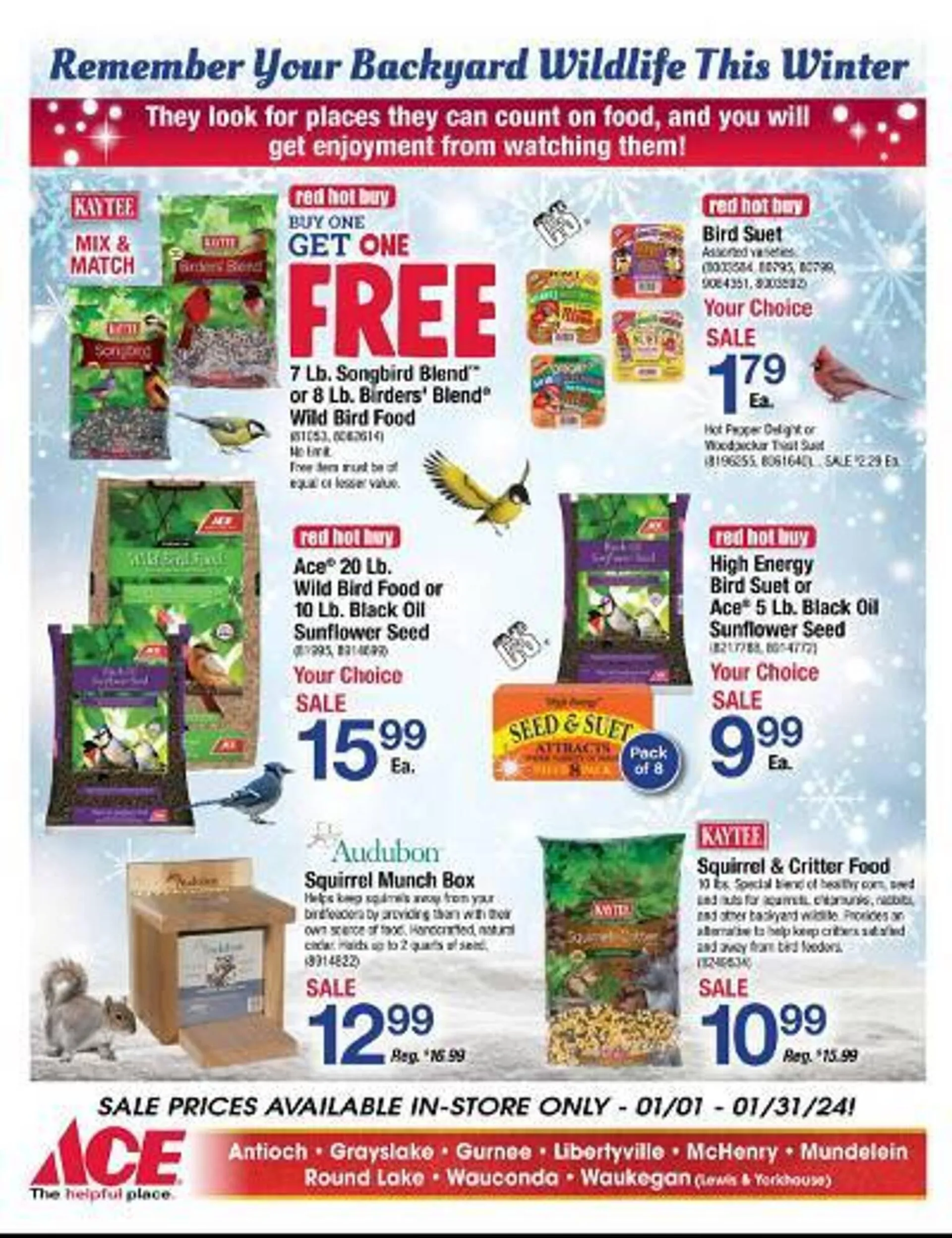 Weekly ad Ace Hardware Weekly Ad from January 1 to January 31 2024 - Page 12