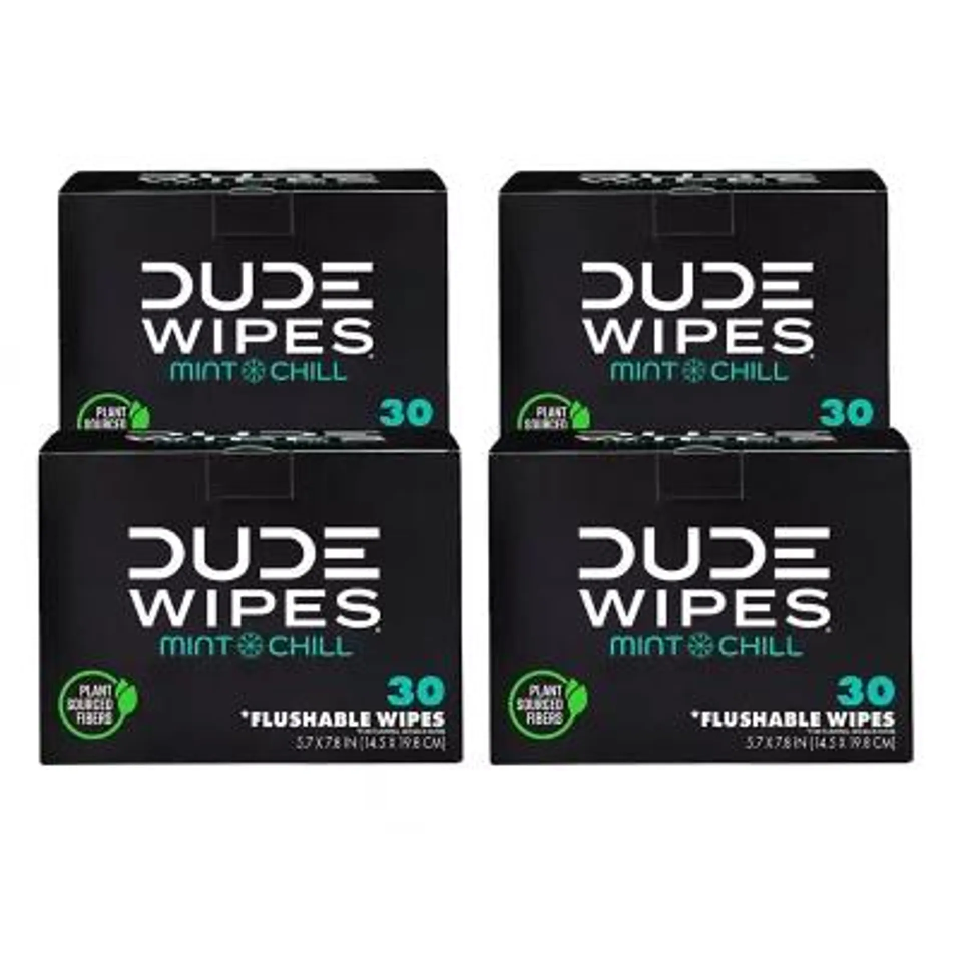 DUDE WIPES XL On-the-Go Flushable Wipes, Mint Chill, 4 ct., 120 wipes