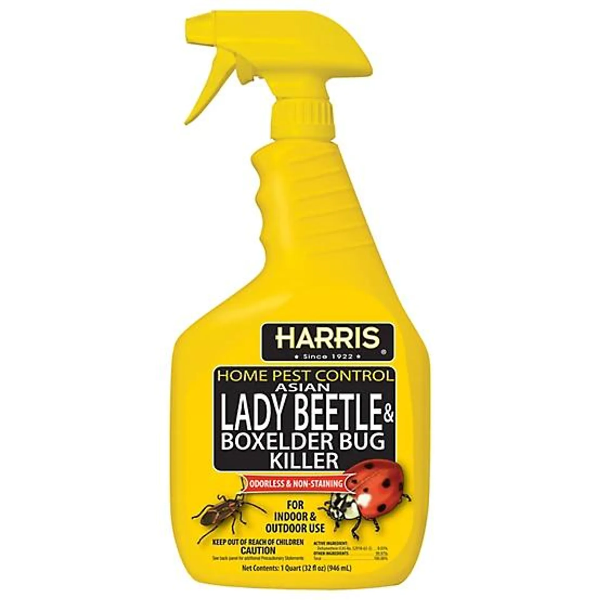 32 oz. Lady Beetle and Box Elder Bug Killer