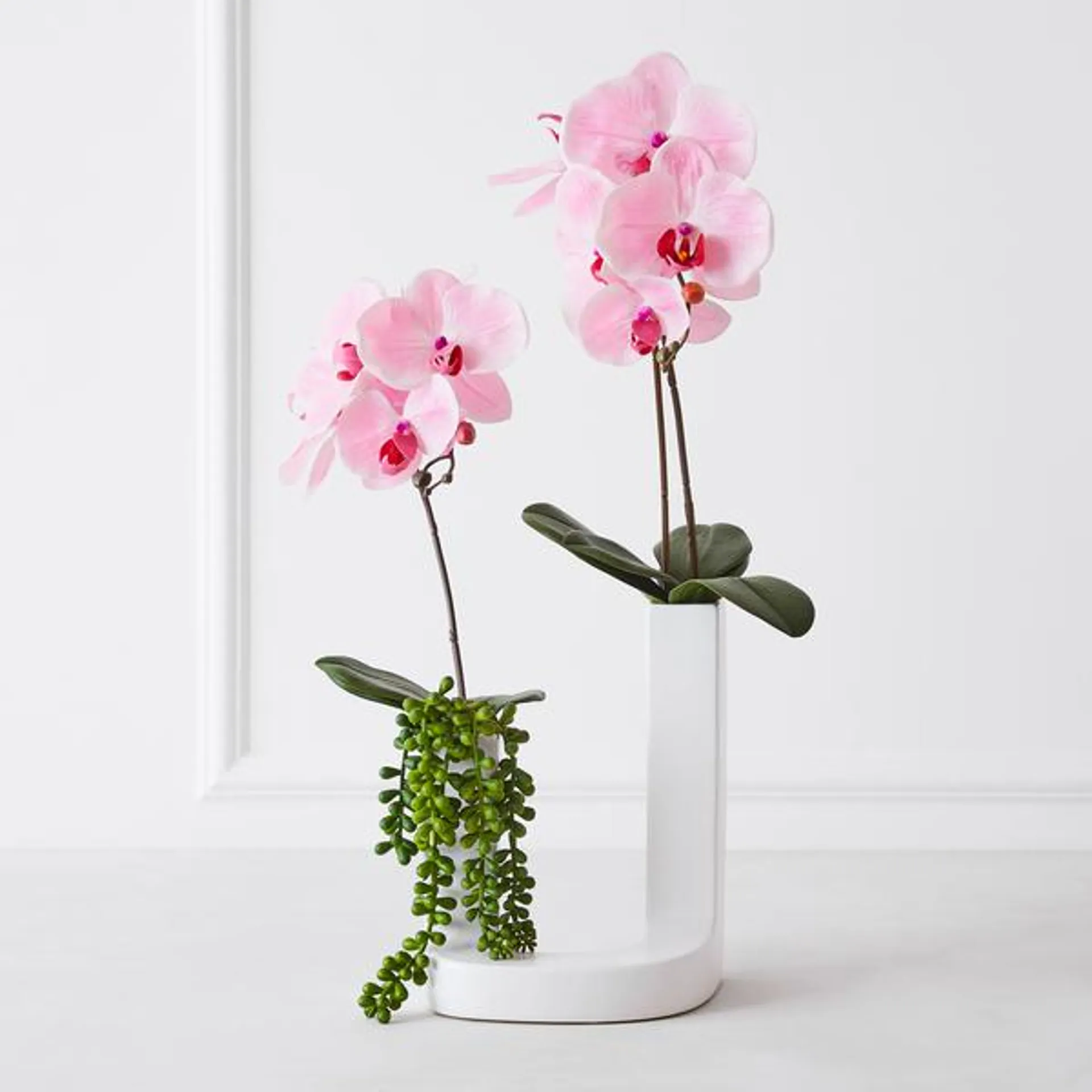 Nikki Chu - Pink Orchid In White Vase