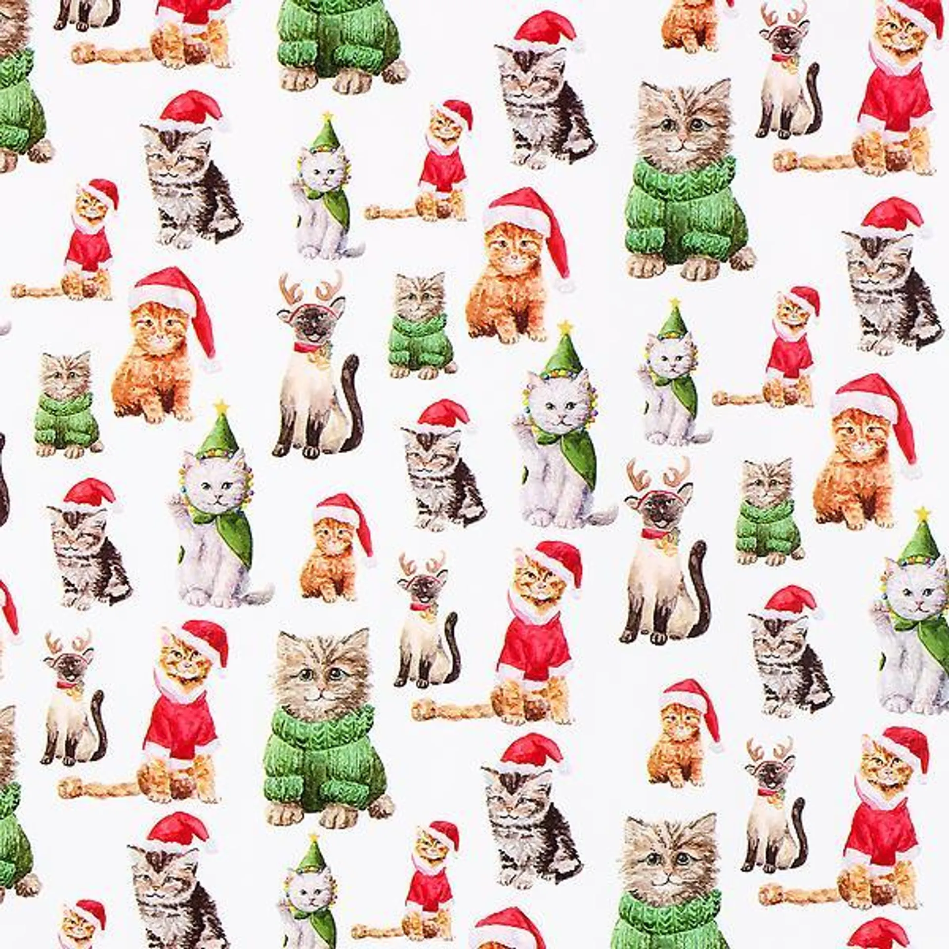 Taylor Paladino Christmas Kitties Wrapping Paper