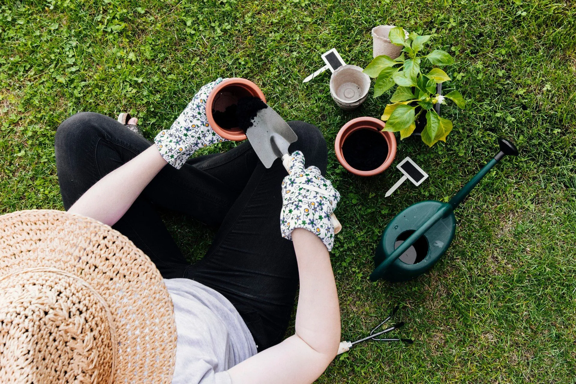 Jardinage de printemps : les promotions incontournables de Castorama et Brico Dépôt en 2025