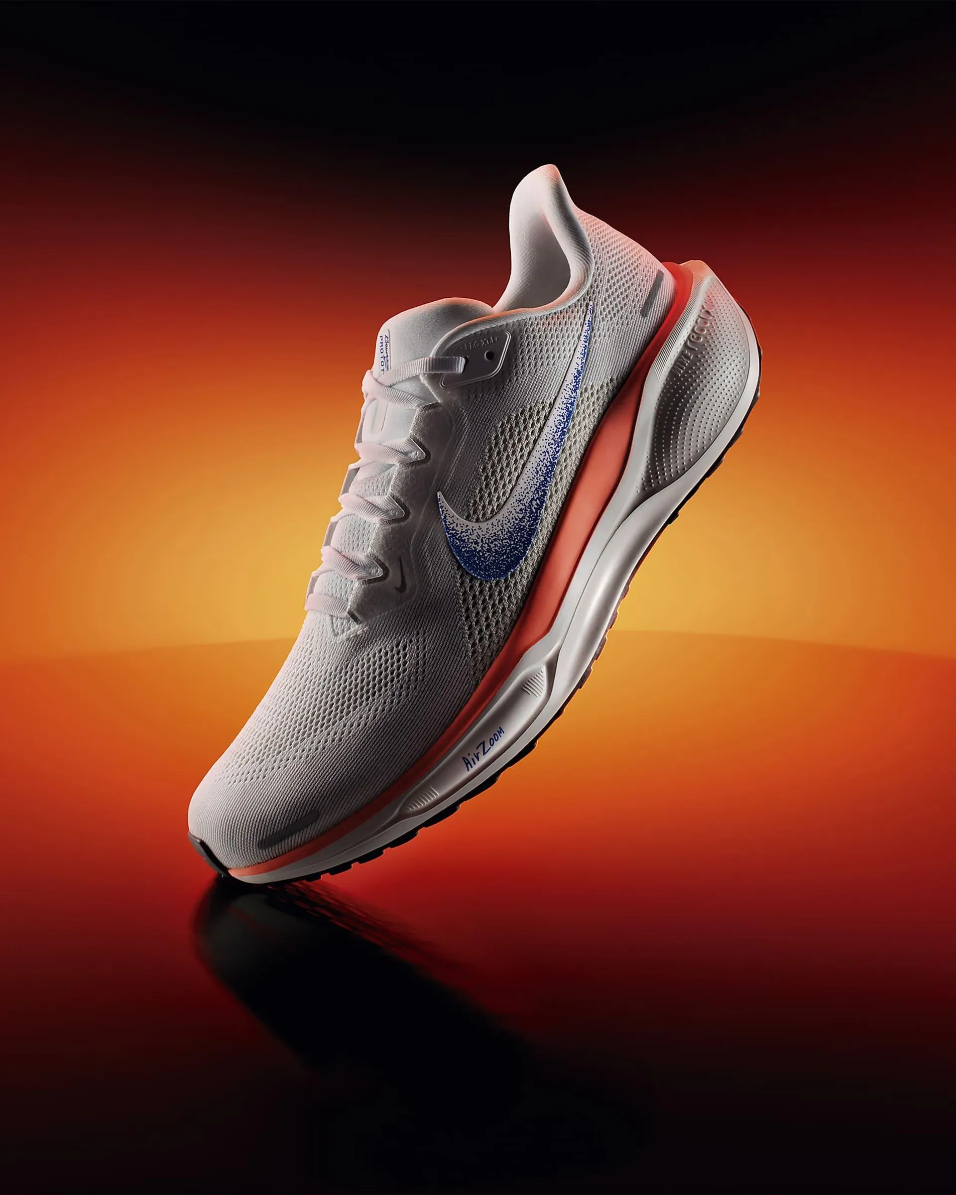 Nike Pegasus 41 Blueprint