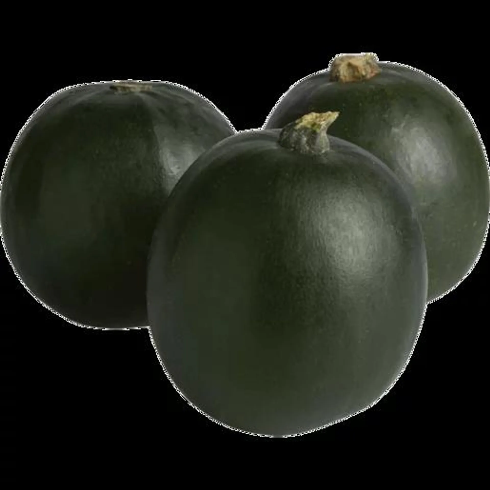 Gem Squash Per kg