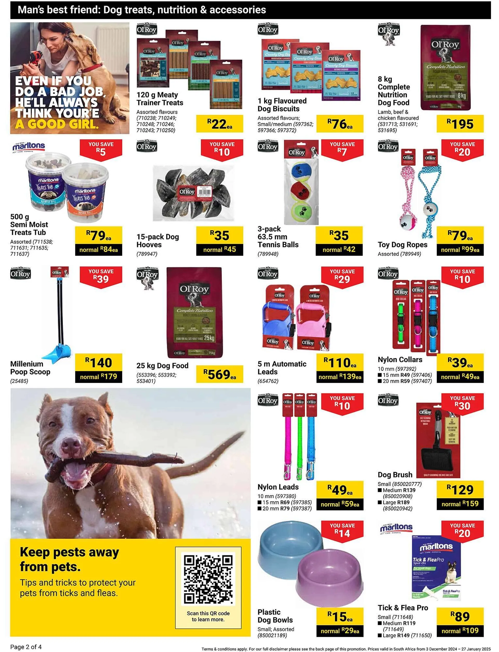 Builders Warehouse catalogue from 3 December to 27 January 2025 - Catalogue Page 2