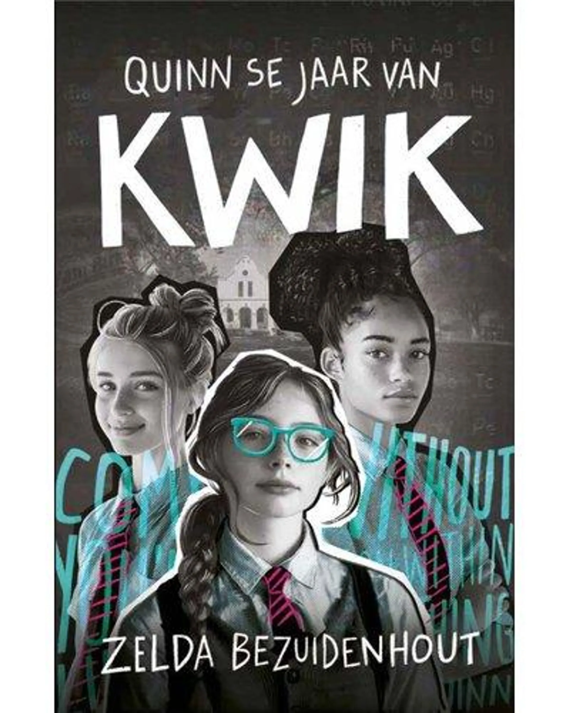 Quinn se Jaar van Kwik (Afrikaans, Paperback)
