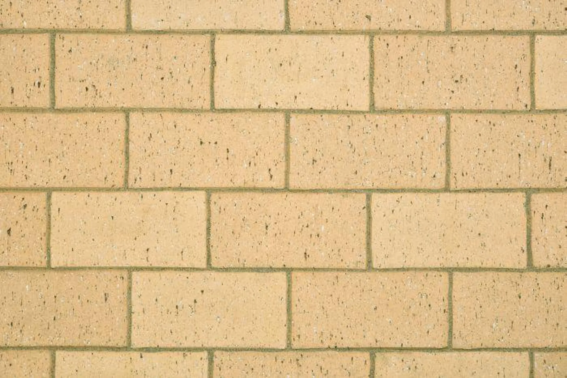 Brick Champagne 50mm Paver