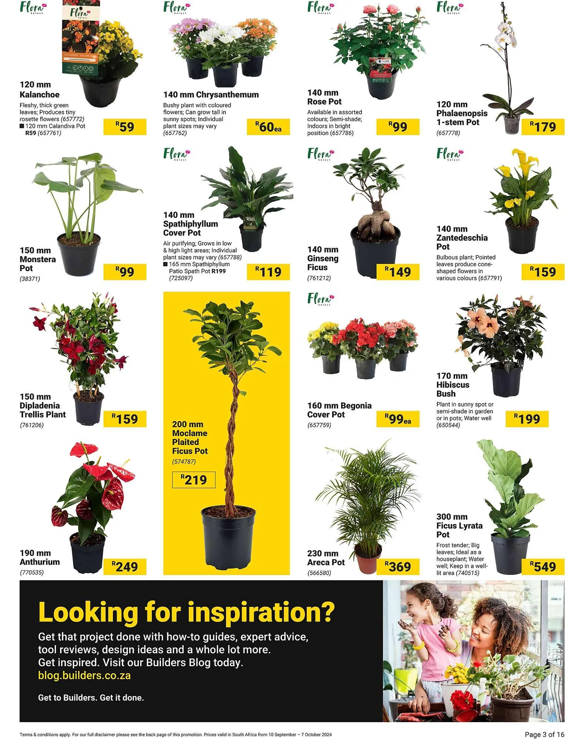 Builders Warehouse catalogue from 10 September to 7 October 2024 - Catalogue Page 3