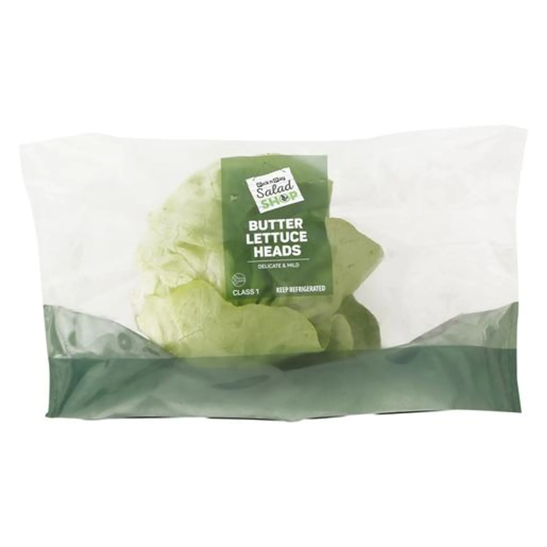 PnP Butter Lettuce