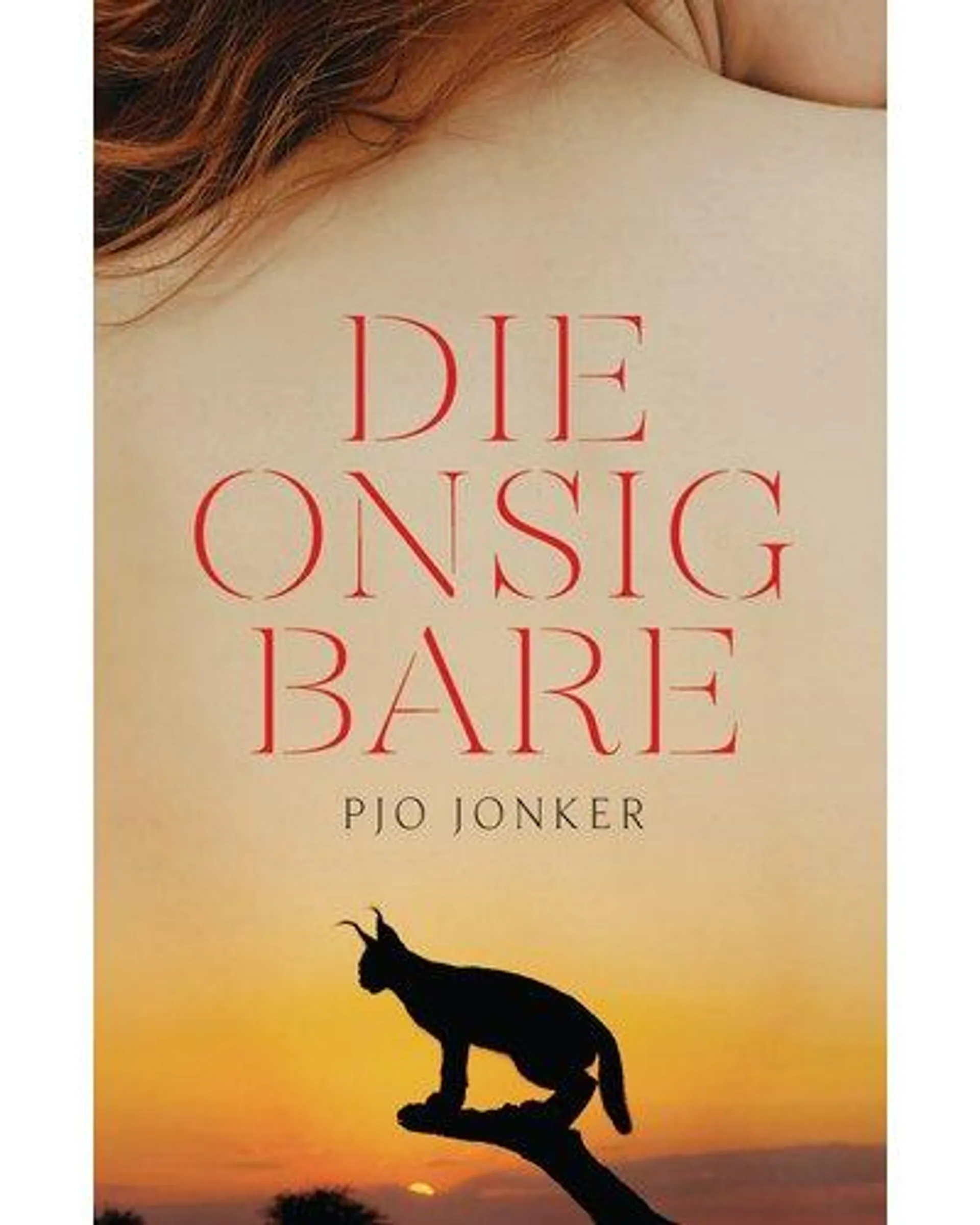 Die Onsigbare (Afrikaans, Paperback)